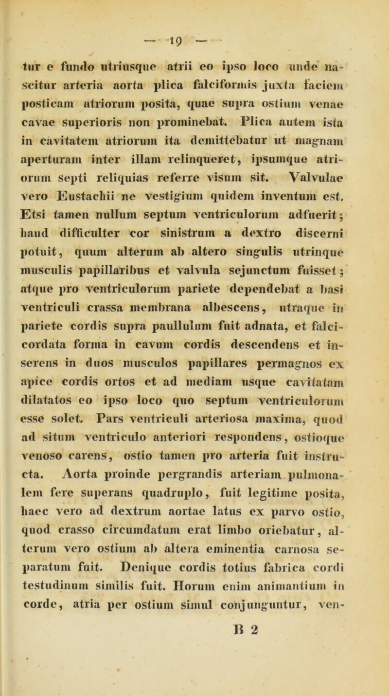 liir o fiin<lo utrhisqiie atrii oo ipso loro undo na- scitur arteria aorta plica falciformis juxta faciem posticam atriorum posita, quae suina ostium venae cavae superioris non prominebat. Plica autem ista in cavitatem atriorum ita demittebatur ut mag-nam aperturam inter illam relinqueret, ii)Siiinque atri- orum septi reliquias referre visum sit. Valvulae vero Eustachii ne vestigium quidem inventum est. Etsi tamen nullum septum ventriculorum adfuerit; liaud difficulter cor sinistrum a dextro discerni j>otuit, quum alterum ab altero singrulis utrinque musculis papillaribus et valvula sejunctum fuisset; atque i>ro ventriculorum pariete dependebat a basi ventriculi crassa membrana albescens, ntraque in pariete cordis supra paullulum fuit adnata, et falci- cordata forma in cavum cordis descendens et in- serens in duos musculos papillares permag:nos ex apice cordis ortos et ad mediam usque cavitatam dilatatos eo ipso loco quo septum ventriculorum esse solet. Pars ventriculi arteriosa maxima, quod ad situm ventriculo anteriori respondens, ostioque venoso carens, ostio tamen pro arteria fuit instru- cta. Aorta proinde pergrandis arteriam pulmona- lem fere superans quadruplo, fuit legitime posita, haec vero ad dextrum aortae latus ex parvo ostio, quod crasso circumdatum erat limbo oriebatur, al- terum vero ostium ab altera eminentia carnosa se- paratum fuit. Denique cordis totius fiibrica cordi testudinum similis fuit. Ilorum enim animantium in corde, atria per ostium simul conjunguntur, ven- ii 2