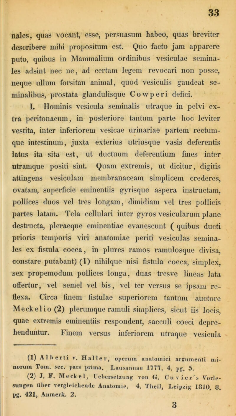 nales, quas vocant, esse, persuasum habeo, quas breviter describere milii propositum est. Quo facto jam apparere puto, quibus in Mammalium ordinibus vesiculae semina- les adsint nec ne, ad certam legem revocari non posse, neque ullum forsitan animal, quod vesiculis gaudeat se- minalibus, prostata glandulisque Cowperi defici. I. Hominis vesicula seminalis utraque in pelvi ex- tra peritonaeum, in posteriore tantum parte hoc leviter vestita, inter inferiorem vesicae urinariae partem rectum- que intestinum, juxta exterius utriusque vasis deferentis latus ita sita est, ut ductuum deferentium fines inter utramque positi sint. Quam extremis, ut dicitur, digitis attingens vesiculam membranaceam simplicem crederes, ovatam, superficie eminentiis gyrisque aspera instructam, pollices duos vel tres longam, dimidiam vel tres pollicis partes latam. Tela cellulari inter gyros vesicularum plane destructa, pleraeque eminentiae evanescunt ( quibus ducti prioris temporis viri anatomiae periti vesiculas semina- les ex fistula coeca, in plures ramos ramulosque divisa, constare putabant) (1) nihilque nisi fistula coeca, simplex, sex propemodum pollices longa, duas tresve lineas lata offertur, vel semel vel bis, vel ter versus se ipsam re- flexa. Circa finem fistulae superiorem tantum auctore Meckelio(2) plerumque ramuli simplices, sicut iis locis, quae extremis eminentiis respondent, sacculi coeci depre- henduntur. Finem versus inferiorem utraque vesicula (1) Allterti v. Hali er, operum anatomici argumenti mi- norum Toin. sec. pars prima. Lausannae 1777. 4. pg. 5. (2) J. F, Meckel, Uebersetzung von G. Cuvier’s Vorle- sungen iilier vergleicliendc Anatomie. 4. Theil, Leipzig 1810. 8. pg. 421, Anmerk. 2. 3