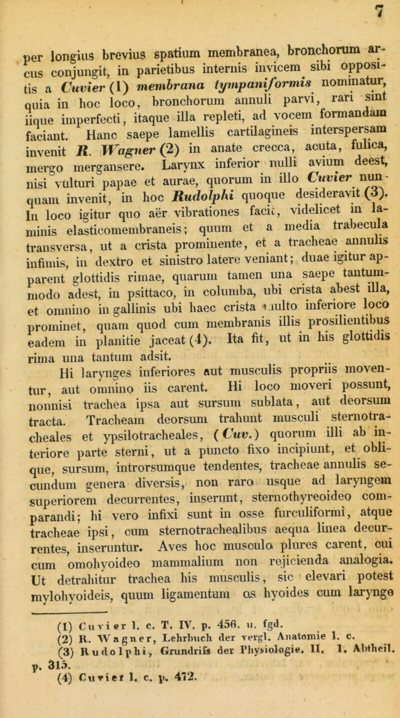 I 7 per longius brevius spatium membranea, bronchorum ar- cus conjungit, in parietibus internis invicem^ sibi opposi- tis a Cuvier(\) membrana iympaniformis nominatur, quia in hoc loco, bronchorum annuli parvi, rari sint iique imperfecti, itaque illa repleti, ad vocem formandam faciant. Hanc saepe lamellis cartilagineis interspersam invenit R, Wagner (2) in anate crecca, acuta, fulica, mergo mergansere. Larynx inferior nulli avium deest, nisi vulturi papae et aurae, quorum in illo Cn^mer nun- quam invenit, in hoc Rudolphi quoque desideravit (d). In loco igitur quo aer vibrationes facit, videlicet m la- minis elasticomembraneis; quum et a media trabecula transversa, ut a crista prominente, et a tracheae annuus infimis, iu dextro et sinistro latere veniant; duae igitur ap- parent glottidis rimae, quarum tamen una saepe taiituni- iiiodo adest, iu psittaco, in columba, ubi crista abest illa, et omnino iu gallinis ubi haec crista viulto inferiore loco prominet, quam quod cum membranis illis prosilientibus eadem in planitie jaceat (4). Ita fit, ut in his glottidis rima una tantum adsit. Hi larynges inferiores aut musculis propriis moven- tur, aut omnino iis carent. Hi loco moveri possunt, nonnisi trachea ipsa aut sursum sublata, aut deorsum tracta. Tracheam deorsum trahunt musculi sternotra- cheales et ypsilotracheales, (Cuv.) quorum illi ab in- teriore parte sterni, ut a puncto fixo incipiunt, et obli- que, sursum, introrsumque tendentes, tracheae annulis se- cundum genera diversis, non raro usque ad laryngem superiorem decurrentes, inserunt, sternothyreoideo com- parandi; hi vero infixi sunt in osse furculiformi, atque tracheae ipsi, cum sternotrachealibus aequa linea decur- rentes, inseruntur. Aves hoc musculo plures carent, cui cum omohyoideo mammalium non rejicienda analogia. Ut detrahitur trachea his musculis, sic elevari potest mylohyoideis, quum ligamentum os hyoides cum larynge (1) Cuvier 1. c. T. IV. p. 4.56. u, fgd, (2) R. Wagner, Lehrhnch cler vergi. Aiiatomie 1. c. (3) Rudolphi, Grumlrifs der Physiologie, II. 1. Abtheil. p, 315.