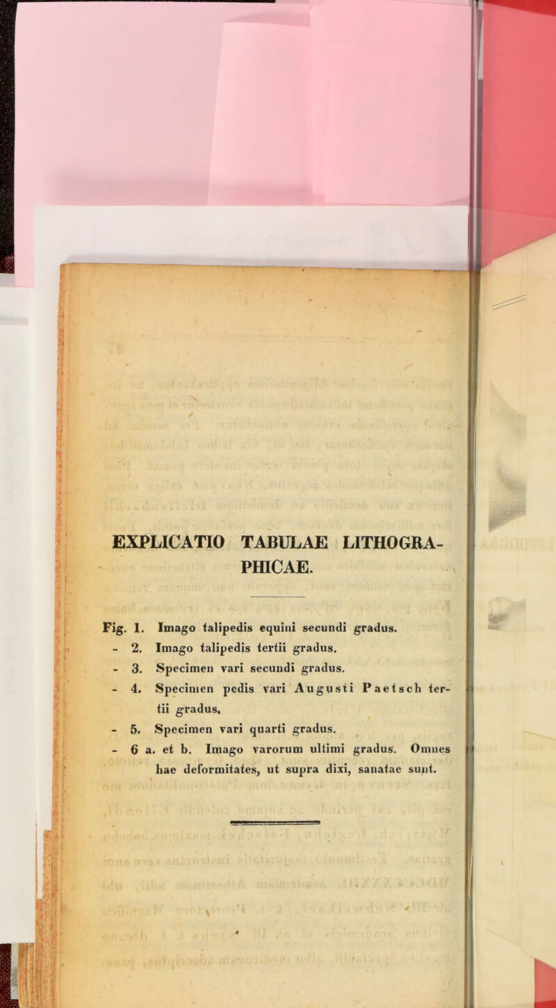 <1 I EXPLICATIO TABULAE LITHOGBA- PfflCAE. I Fig. 1. Imago (alipedis equini secundi gradus. K - 2. Imago (alipedis (er(ii gradus. - 3. Specimen vari secundi gradus. - 4. Specimen pedis vari Augusti Pae(sch (er- (ii gradus, - 5. Specimen vari quarti gradus. - 6 a. et b. Imago varorum ultimi gradus. Omnes i' hae deformitates, ut supra dixi, sanatae sunt.