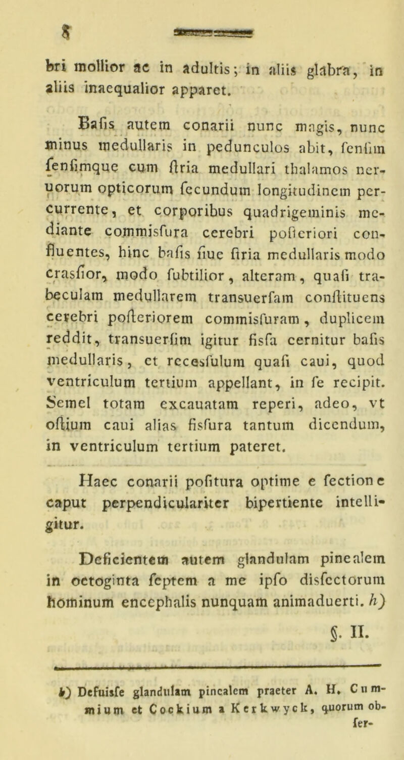 bri mollior ac in adultis; in aliis glabra, in aliis inaequalior apparet. Bafis autem conarii nunc magis, nunc minus medullaris in pedunculos abit, feniim fenfimquq cum firia medullari thalamos ner- uorum opticorum fecundum longitudinem per- currente, et corporibus quadrigeminis me- diante commisfura cerebri poficriori con- fluentes, hinc bafis flue ftria medullaris modo crasfior, modo fubtilior, alteram, quali tra- beculam medullarem transuerfam conllituens cerebri pofleriorem commisturam , duplicem reddit, transuerlim igitur fisfa cernitur bafis medullaris, et rccesfulum quafi caui, quod ventriculum tertium appellant, in fe recipit. Semel totam excauatam reperi, adeo, vt ofiium caui alias fisfura tantum dicendum, in ventriculum tertium pateret. Haec conarii pofitura optime e fectione caput perpendiculariter bipertiente intelli- gitur. Deficientem autem glandulam pinealem in octoginta feptem a me ipfo disfcctorum hominum encephalis nunquam animaduerti. h) §• II. D Defuisfe glandulam pinealem praeter A. H, Cum- mium et Cockium a Kerkwyck, quorum ob- fer-