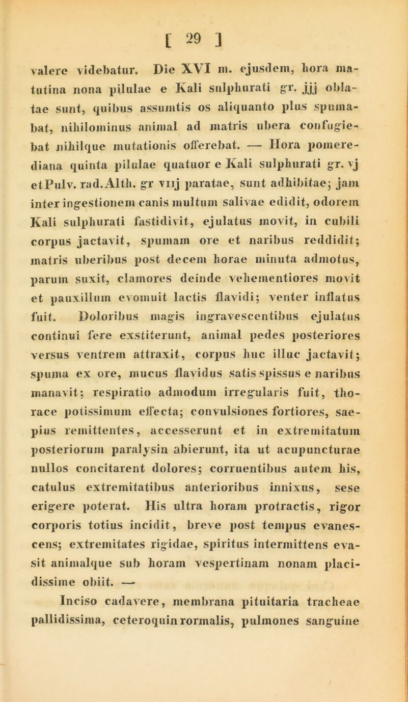 valere videbatur. Die XVI m. ejusdem, hora ma- tutina nona pilulae e Kali sulpliurati g:r. jjj obla- tae sunt, quibus assumtis os aliquanto plus spuma- bat, niliilominus animal ad matris ubera confiig^ie- bat nihilque mutationis offerebat. — Horii pomere- diana quinta pilulae quatuor e Kali sulphurati gr. vj etPulv. rad.Altli. gr viij paratae, sunt adhibitaej jam inter ing^estionem canis multum salivae edidit, odorem Kali sulpliurati fastidivit, ejulatus movit, in cubili corpus jactavit, spumam ore et naribus reddidit; matris uberibus post decem horae minuta admotus, parum suxit, clamores deinde vehementiores movit et pauxillum evomuit lactis flavidi; venter inflatus fuit. Doloribus mag^is ingravescentibus ejulatus continui fere exstiterunt, animal pedes posteriores versus ventrem attraxit, corpus huc illuc jactavit; spuma ex ore, mucus flavidus satis spissus e naribus manavit; respiratio admodum irreg^ularis fuit, tho- race potissimum effecta; convulsiones fortiores, sae- pius remittentes, accesserunt et in extremitatum posteriorum paralysin abierunt, ita ut acupuncturae nullos concitarent dolores; corruentibus autem his, catulus extremitatibus anterioribus innixus, sese erig^ere poterat. His ultra horam protractis, rig^or corporis totius incidit, breve post tempus evanes- cens; extremitates rigidae, spiritus intermittens eva- sit animalque sub horam vespertinam nonam placi- dissime obiit. — Inciso cadavere, membrana pituitaria tracheae pallidissima, ceteroquin rormalis, pulmones sanguine