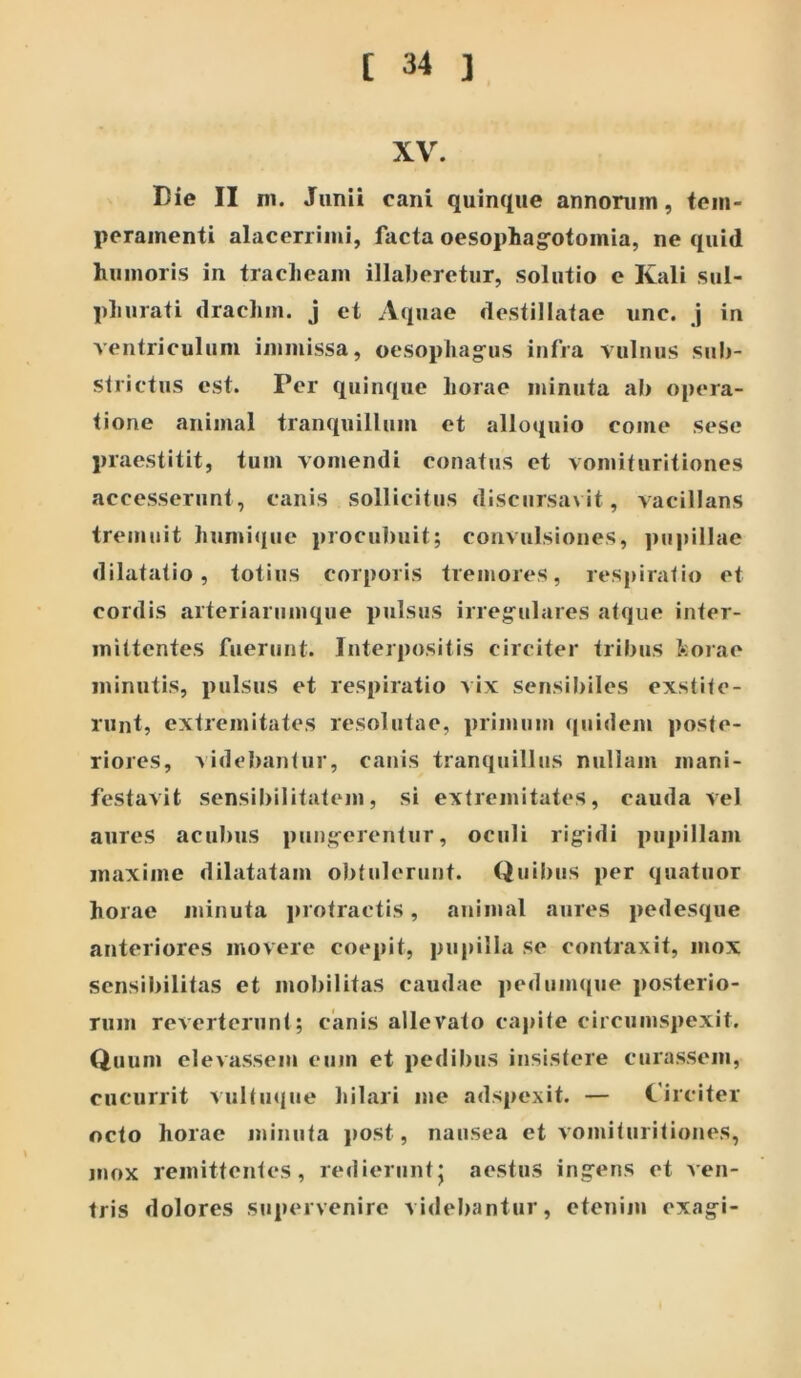 XV. I)ie II ni. Junii cani quinque annoniin, tem- peramenti alacerrimi, facta oesophagotomia, ne quid humoris in tracheam illaberetur, solutio e Kali sul- phurati drachm. j et Aquae destillatae unc. j in ventriculum immissa, oesophageus infra vulnus sub- strictus est. Per quinque horae minuta ab opera- tione animal tranquillum et alloquio come sese praestitit, tum vomendi conatus et vomituritiones acce.sserunt, canis sollicitus discursavit, vacillans tremuit humitjue procubuit; convulsiones, ])upillae dilatatio, totius corporis tremores, respiratio et cordis arteriarumque pulsus irregeulares atque inter- mittentes fuerunt. Interpositis circiter tribus korae minutis, pulsus et respiratio Aix sensibiles exstite- runt, extremitates resolutae, primum ((uidem poste- riores, videbantur, canis tranquillus nullam mani- festavit sensibilitatem, si extremitates, cauda vel aures acubus pung^erentur, oculi rig^idi pupillam maxime dilatatam ol)tulerunt. Quibus per quatuor horae minuta jnotractis, animal aures pedesque anteriores movere coepit, pupilla se contraxit, mox sensibilitas et mobilitas caudae pedum((ue posterio- rum reverterunt; canis allevato capite circumspexit. Quum elevassem ejiin et pedibus insistere curassem, cucurrit vultuque hilari me adspexit. — Circiter octo horae minuta j)OSt, nausea et vomituritiones, mox remittentes, redierunt j aestus ing^ens et A en- tris dolores supervenire videbantur, etenim exagi-