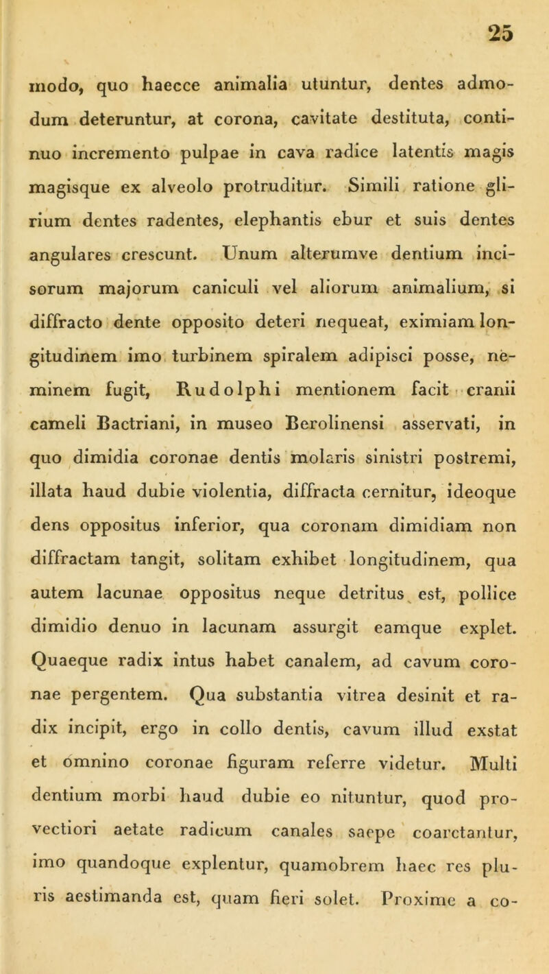 modo, quo haecce animalia utuntur, dentes admo- dum deteruntur, at corona, cavitate destituta, conti- nuo incremento pulpae in cava radice latentis magis magisque ex alveolo protruditur. Simili ratione gli- rium dentes radentes, elephantis ebur et suis dentes angulares crescunt. Unum alterumve dentium inci- sorum majorum caniculi vel aliorum animalium, si diffracto dente opposito deteri nequeat, eximiam lon- gitudinem imo turbinem spiralem adipisci posse, ne- minem fugit, Rudo Iphi mentionem facit cranii cameli Bactriani, in museo Berolinensi asservati, in quo dimidia coronae dentis molaris sinistri postremi, illata haud dubie violentia, diffracta cernitur, ideoque dens oppositus inferior, qua coronam dimidiam non diffractam tangit, solitam exhibet longitudinem, qua autem lacunae oppositus neque detritus est, pollice dimidio denuo in lacunam assurgit eamque explet. Quaeque radix intus habet canalem, ad cavum coro- nae pergentem. Qua substantia vitrea desinit et ra- dix incipit, ergo in collo dentis, cavum illud exstat et omnino coronae figuram referre videtur. Multi dentium morbi haud dubie eo nituntur, quod pro- vectiori aetate radicum canales saepe coarctantur, imo quandoque explentur, quamobrein haec res plu- ris aestimanda est, quam fieri solet. Proxime a co-