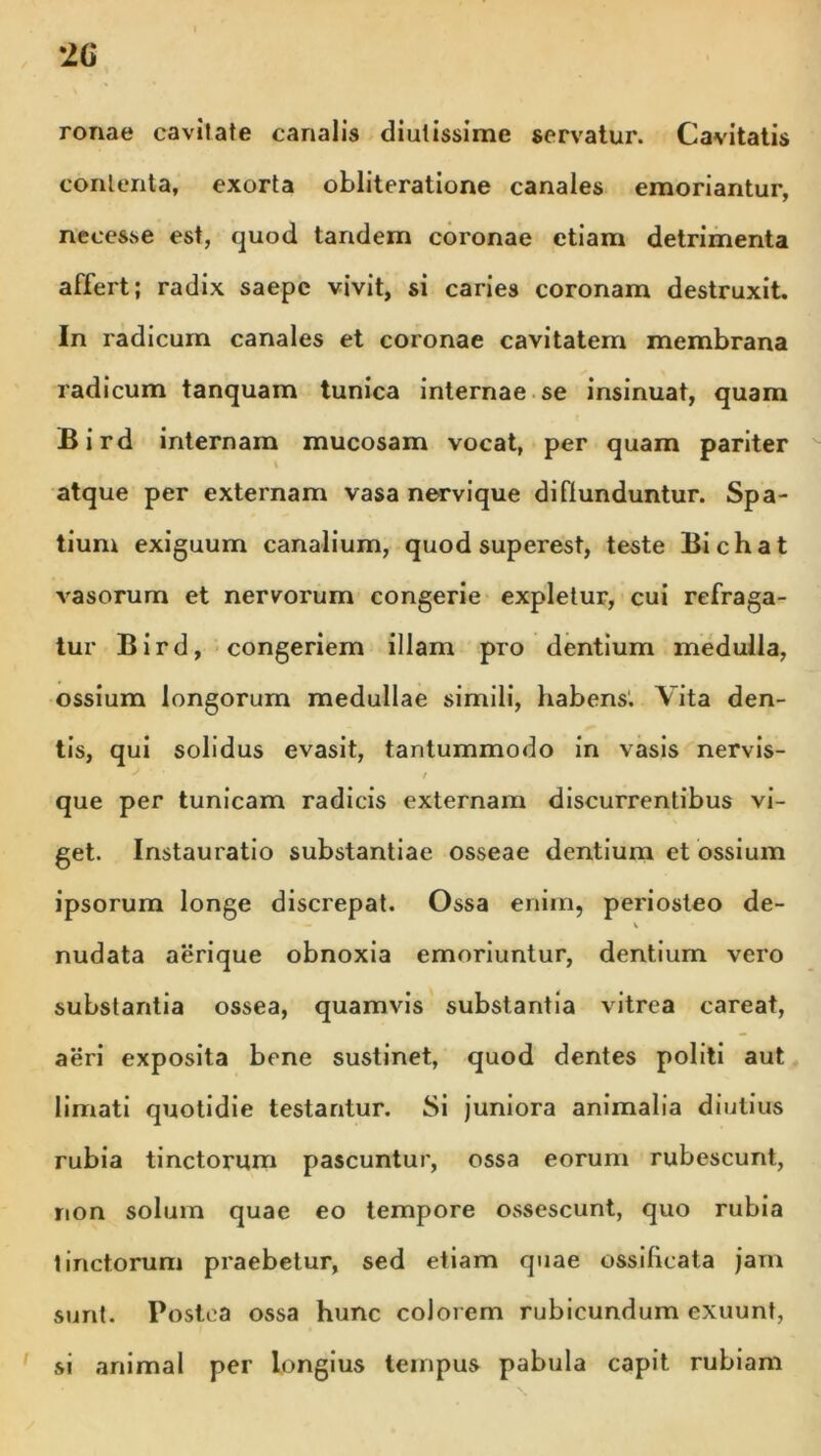 ronae cavitate canalis diutissime servatur. Cavitatis contenta, exorta obliteratione canales emoriantur, neces.se est, quod tandem coronae etiam detrimenta affert; radix saepe vivit, si caries coronam destruxit. In radicum canales et coronae cavitatem membrana radicum tanquam tunica internae se insinuat, quam Bird internam mucosam vocat, per quam pariter \ atque per externam vasa nervique diffunduntur. Spa- tium exiguum canalium, quod superest, teste Bichat vasorum et nervorum congerie expletur, cui refraga- tur Bird, congeriem illam pro dentium medulla, ossium longorum medullae simili, habens. Vita den- tis, qui solidus evasit, tantummodo in vasis nervis- * * ’ / t que per tunicam radicis externam discurrentibus vi- get. Instauratio substantiae osseae dentium et ossium ipsorum longe discrepat. Ossa enim, periosteo de- ' — v nudata aerique obnoxia emoriuntur, dentium vero substantia ossea, quamvis substantia vitrea careat, aeri exposita bene sustinet, quod dentes politi aut limati quotidie testantur. Si juniora animalia diutius rubia tinctorum pascuntur, ossa eorum rubescunt., non solum quae eo tempore ossescunt, quo rubia tinctorum praebetur, sed etiam quae ossilicata jam sunt. Postea ossa hunc colorem rubicundum exuunt, si animal per longius tempus pabula capit rubiam