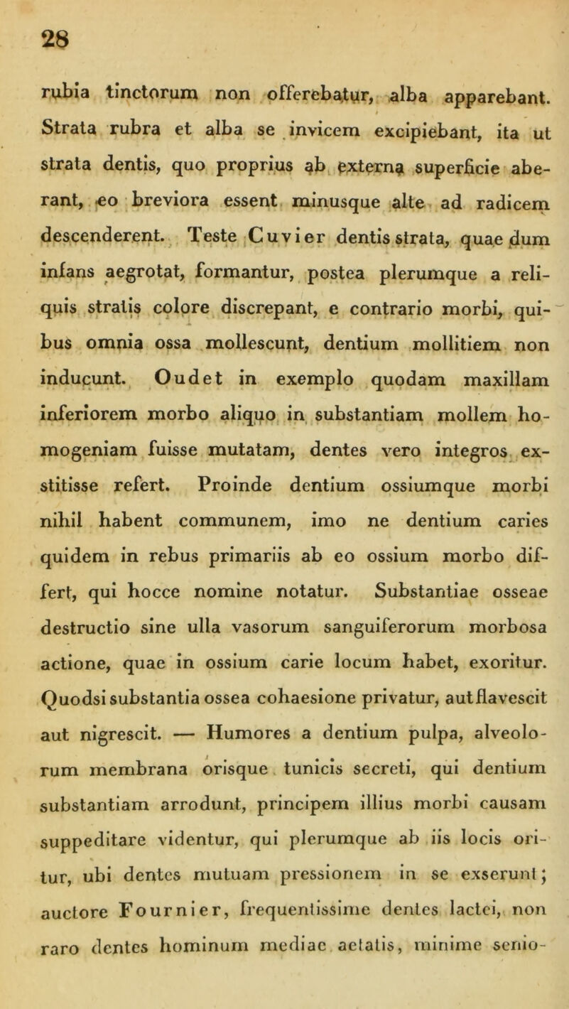 rubia tinctorum non offerebatur, alba apparebant. Strata rubra et alba se invicem excipiebant, ita ut strata dentis, quo proprius ab externa superficie abe- rant, eo breviora essent minusque alte ad radicem descenderent. Teste Cuvier dentis strata, quae .dum infans aegrotat, formantur, postea plerumque a reli- quis stratis colore discrepant, e contrario morbi, qui- bus omnia ossa mollescunt, dentium mollitiem non inducunt. Oudet in exemplo quodam maxillam inferiorem morbo aliquo in substantiam mollem ho- mogeniam fuisse mutatam, dentes vero integros ex- stitisse refert. Proinde dentium ossiumque morbi nihil habent communem, imo ne dentium caries quidem in rebus primariis ab eo ossium morbo dif- fert, qui hocce nomine notatur. Substantiae osseae destructio sine ulla vasorum sanguiferorum morbosa actione, quae in ossium carie locum habet, exoritur. Quodsi substantia ossea cohaesione privatur, autflavescit aut nigrescit. — Humores a dentium pulpa, alveolo- rum membrana orisque tunicis secreti, qui dentium substantiam arrodunt, principem illius morbi causam suppeditare videntur, qui plerumque ab iis locis ori- tur, ubi dentes mutuam pressionem in se exserunt; auctore Fournier, frequentissime dentes lactei, non raro dentes hominum mediae aetatis, minime senio-