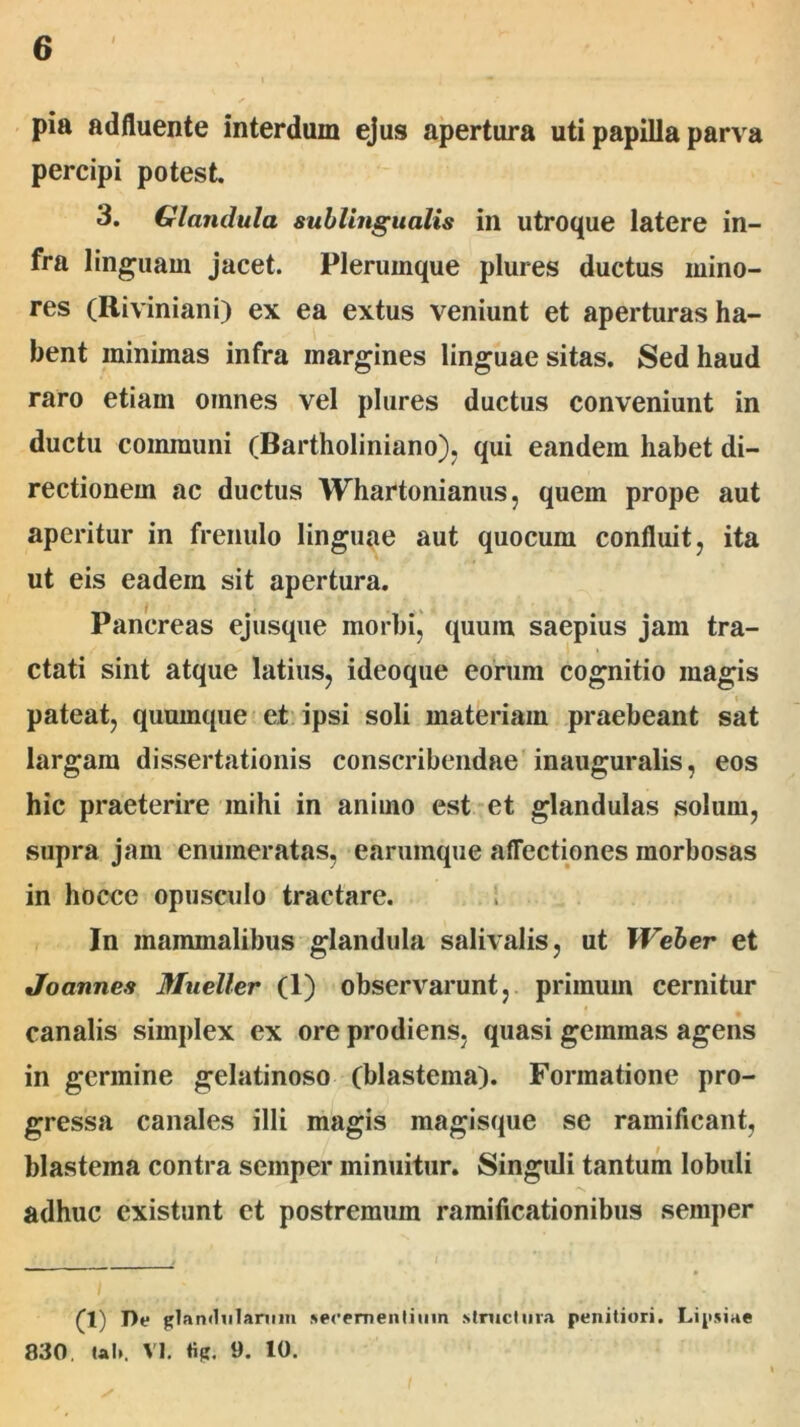 pia adfluente interdum ejus apertura uti papilla parva percipi potest. 3. Glandula sublingualis in utroque latere in- fra linguam jacet. Plerumque plures ductus mino- res (Riviniani) ex ea extus veniunt et aperturas ha- bent minimas infra margines linguae sitas. Sed haud raro etiam omnes vel plures ductus conveniunt in ductu coimuuni (Bartholiniano), qui eandem habet di- rectionem ac ductus Whartonianus, quem prope aut aperitur in frenulo linguae aut quocum confluit, ita ut eis eadem sit apertura. Pancreas ejusque morbi, quum saepius jam tra- ctati sint atque latius, ideoque eorum cognitio magis pateat, quumque et ipsi soli materiam praebeant sat largam dissertationis conscribendae inauguralis, eos hic praeterire mihi in animo est et glandulas solum, supra jam enumeratas, earumque affectiones morbosas in hocce opusculo tractare. In mammalibus glandula salivalis, ut Weber et Joannes Mueller (1) observarunt, primum cernitur canalis simplex ex ore prodiens, quasi gemmas agens in germine gelatinoso (blastema). Formatione pro- gressa canales illi magis magisque se ramificant, blastema contra semper minuitur. Singuli tantum lobuli adhuc cxistunt et postremum ramificationibus semper (1) De glandularum secernentium structura penitiori. Lipsiae 830 tal», VI. tig. 9. 10.