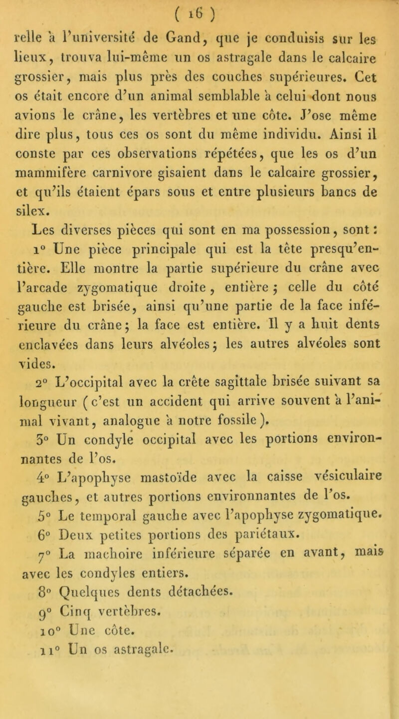 relie a l’université de Garni, que je conduisis sur les lieux, trouva lui-même un os astragale dans le calcaire grossier, mais plus près des couches supérieures. Cet os était encore d’un animal semblable a celui dont nous avions le crâne, les vertèbres et une côte. J’ose même dire plus, tous ces os sont du même individu. Ainsi il conste par ces observations répétées, que les os d’un mammifère carnivore gisaient dans le calcaire grossier, et qu’ils étaient épars sous et entre plusieurs bancs de silex. Les diverses pièces qui sont en ma possession, sont : i° Une pièce principale qui est la tète presqu’en- tière. Elle montre la partie supérieure du crâne avec l’arcade zygomatique droite, entière 5 celle du côté gauche est brisée, ainsi qu’une partie de la face infé- rieure du crâne ; la face est entière. U y a huit dents enclavées dans leurs alvéoles ; les autres alvéoles sont vides. 2° L’occipital avec la crête sagittale brisée suivant sa longueur (c’est un accident qui arrive souvent a l’ani- mal vivant, analogue a notre fossile). 5° Un condyle occipital avec les portions environ- nantes de l’os. 4° L’apopliyse mastoïde avec la caisse vésiculaire gauches, et autres portions environnantes de l’os. 5° Le temporal gauche avec l’apophyse zygomatique. 6° Deux petites portions des pariétaux. 7° La mâchoire inférieure séparée en avant, mais avec les condyles entiers. 8° Quelques dents détachées. q° Cinq vertèbres. io° Une côte. ii° Un os astragale.