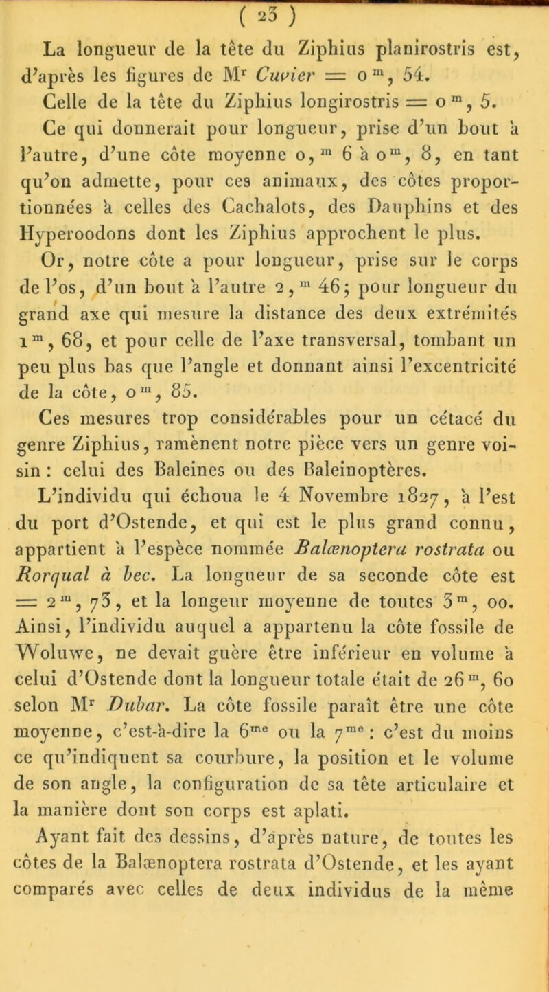 La longueur de la tête du Ziphius planirostris est, d’après les figures de Mr Cuvier = o m, 54. Celle de la tête du Ziphius longirostris = o m, 5. Ce qui donnerait pour longueur, prise d’un hout a l’autre, d’une côte moyenne o,,n 6 a om, 8, en tant qu’on admette, pour ces animaux, des côtes propor- tionnées h celles des Cachalots, des Dauphins et des Hyperoodons dont les Ziphius approchent le plus. Or, notre côte a pour longueur, prise sur le corps de l’os, d’un bout a l’autre 2,m 46; pour longueur du grand axe qui mesure la distance des deux extrémités im, 68, et pour celle de l’axe transversal, tombant un peu plus bas que l’angle et donnant ainsi l’excentricité de la côte, om, 85. Ces mesures trop considérables pour un cétacé du genre Ziphius, ramènent notre pièce vers un genre voi- sin : celui des Baleines ou des Baleinoptères. L’individu qui échoua le 4 Novembre 1827, a l’est du port d’Ostende, et qui est le plus grand connu, appartient a l’espèce nommée Balœnoptera rostrata ou Rorqual à bec. La longueur de sa seconde côte est = 2m, 73, et la longeur moyenne de toutes 3m, 00. Ainsi, l’individu auquel a appartenu la côte fossile de Woluwe, ne devait guère être inférieur en volume a celui d’Ostende dont la longueur totale était de 26 m, 60 selon Mr Dubar. La côte fossile paraît être une côte moyenne, c’est-à-dire la 6me ou la 7rae: c’est du moins ce qu’indiquent sa courbure, la position et le volume de son angle, la configuration de sa tête articulaire et la manière dont son corps est aplati. Ayant fait des dessins, d’après nature, de toutes les côtes de la Balœnoptera rostrata d’Ostende, et les ayant comparés avec celles de deux individus de la même