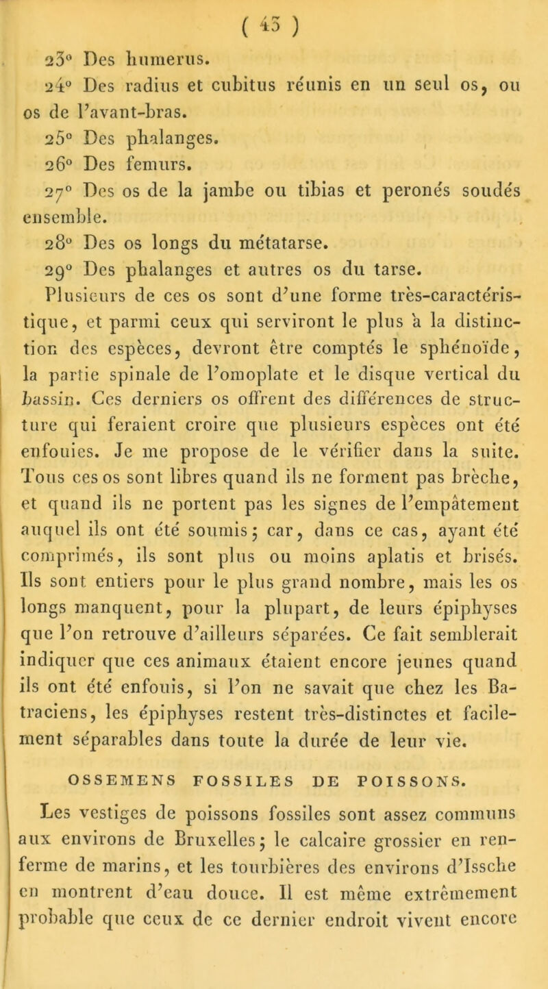 ( « ) 20° Des humérus. 24° Des radius et cubitus réunis en un seul os, ou os de l’avant-bras. 25° Des phalanges. 26° Des fémurs. 270 Des os de la jambe ou tibias et péronés soudés ensemble. 28° Des os longs du métatarse. 290 Des phalanges et autres os du tarse. Plusieurs de ces os sont d’une forme très-caractéris- tique, et parmi ceux qui serviront le plus a la distinc- tion des espèces, devront être comptés le sphénoïde, la partie spinale de l’omoplate et le disque vertical du bassin. Ces derniers os offrent des différences de struc- ture qui feraient croire que plusieurs espèces ont été enfouies. Je me propose de le vérifier dans la suite. Tous ces os sont libres quand ils ne forment pas brèche, et quand ils ne portent pas les signes de l’empâtement auquel ils ont été soumis5 car, dans ce cas, ayant été comprimés, ils sont plus ou moins aplatis et brisés. Ils sont entiers pour le plus grand nombre, mais les os longs manquent, pour la plupart, de leurs épiphyses que l’on retrouve d’ailleurs séparées. Ce fait semblerait indiquer que ces animaux étaient encore jeunes quand ils ont été enfouis, si l’on ne savait que chez les Ba- traciens, les épiphyses restent très-distinctes et facile- ment séparables dans toute la durée de leur vie. OSSEMENS FOSSILES DE POISSONS. Les vestiges de poissons fossiles sont assez communs aux environs de Bruxelles j le calcaire grossier en ren- ferme de marins, et les tourbières des environs d’Issclie en montrent d’eau douce. Il est même extrêmement probable que ceux de ce dernier endroit vivent encore