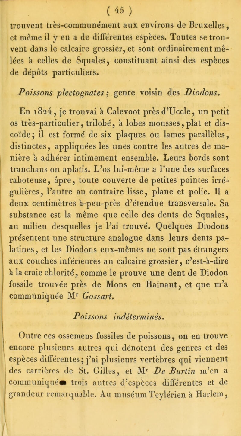 {« ) trouvent très-communément aux environs de Bruxelles, et même il y en a de differentes espèces. Toutes se trou- vent dans le calcaire grossier, et sont ordinairement mê- lées a celles de Squales, constituant ainsi des espèces de dépôts particuliers. Poissons plectognates ; genre voisin des Diodons. En 1824, je trouvai 'a Calevoot prèsd’Uccle, un petit os très-particulier, trilobé, a lobes mousses,plat et dis- coïde; il est formé de six plaques ou lames parallèles, distinctes, appliquées les unes contre les autres de ma- nière a adhérer intimement ensemble. Leurs bords sont tranebans ou aplatis. L’os lui-même a l’une des surfaces raboteuse, âpre, toute couverte de petites pointes irré- gulières, l’autre au contraire lisse, plane et polie. Il a deux centimètres a-peu-près d’étendue transversale. Sa substance est la même que celle des dents de Squales, au milieu desquelles je l’ai trouvé. Quelques Diodons présentent une structure analogue dans leurs dents pa- latines, et les Diodons eux-mêmes ne sont pas étrangers aux couches inférieures au calcaire grossier, c’est-a-dire a la craie chlorité, comme le prouve une dent de Diodon fossile trouvée près de Mons en Hainaut, et que m’a communiquée Mr Gossart. Poissons indéterminés. Outre ces ossemens fossiles de poissons, on en trouve encore plusieurs autres qui dénotent des genres et des espèces différentes; j’ai plusieurs vertèbres qui viennent des carrières de St. Gilles, et Mr De Burtin m’en a communiqué* trois autres d’espèces différentes et de grandeur remarquable. Au muséumTeylérien a Harlem,