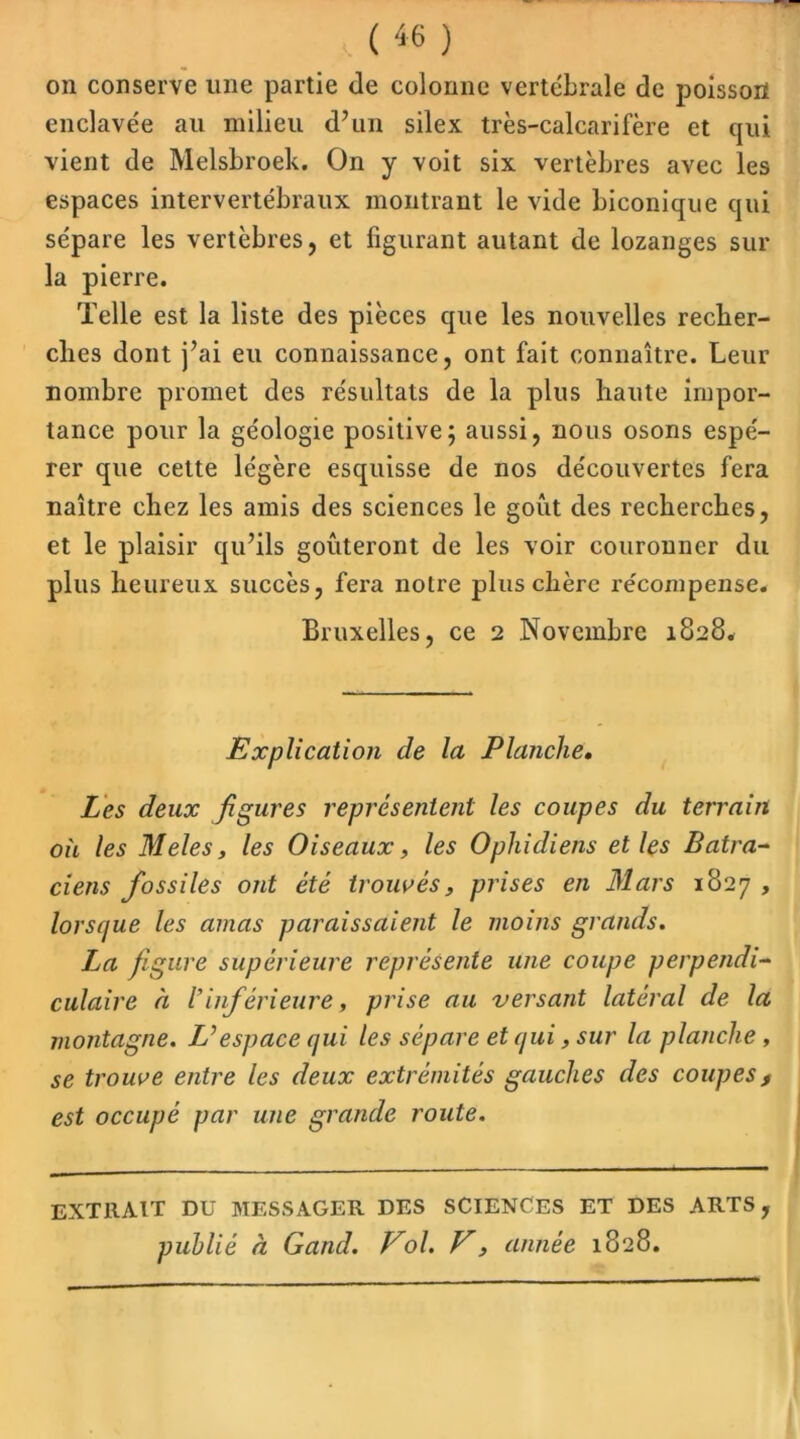 ( *6 ) on conserve une partie de colonne vertébrale de poisson enclavée au milieu d’un silex très-calcarifère et qui vient de Melsbroek. On y voit six vertèbres avec les espaces intervertébraux montrant le vide biconique qui sépare les vertèbres, et figurant autant de lozanges sur la pierre. Telle est la liste des pièces que les nouvelles recher- ches dont j’ai eu connaissance, ont fait connaître. Leur nombre promet des résultats de la plus haute impor- tance pour la géologie positive; aussi, nous osons espé- rer que cette légère esquisse de nos découvertes fera naître chez les amis des sciences le goût des recherches, et le plaisir qu’ils goûteront de les voir couronner du plus heureux succès, fera notre plus chère récompense. Bruxelles, ce 2 Novembre 1828. Explication de la Planche. Les deux figures représentent les coupes du terrain où les Meles, les Oiseaux, les Ophidiens et les Batra- ciens fossiles ont été trouvés, prises en Mars 1827 , lorsque les amas paraissaient le moins grands. La figure supérieure représente une coupe perpendi- culaire à rinférieure, prise au versant latéral de la montagne. Vespace qui les sépare et qui, sur la planche, se trouve entre les deux extrémités gauches des coupes, est occupé par une grande route. extrait du messager des sciences et des arts, publié à Gand. Vol. V, année 1828.