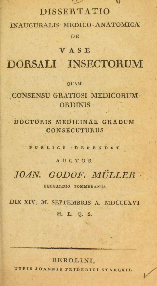 digitised image 1