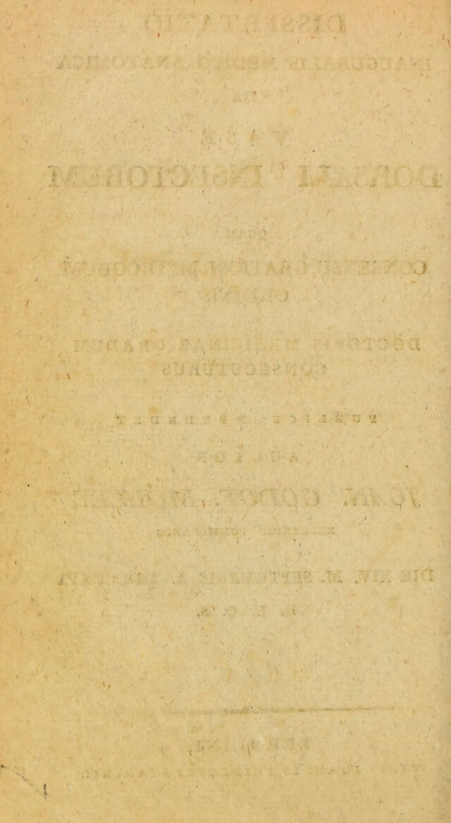 digitised image 2