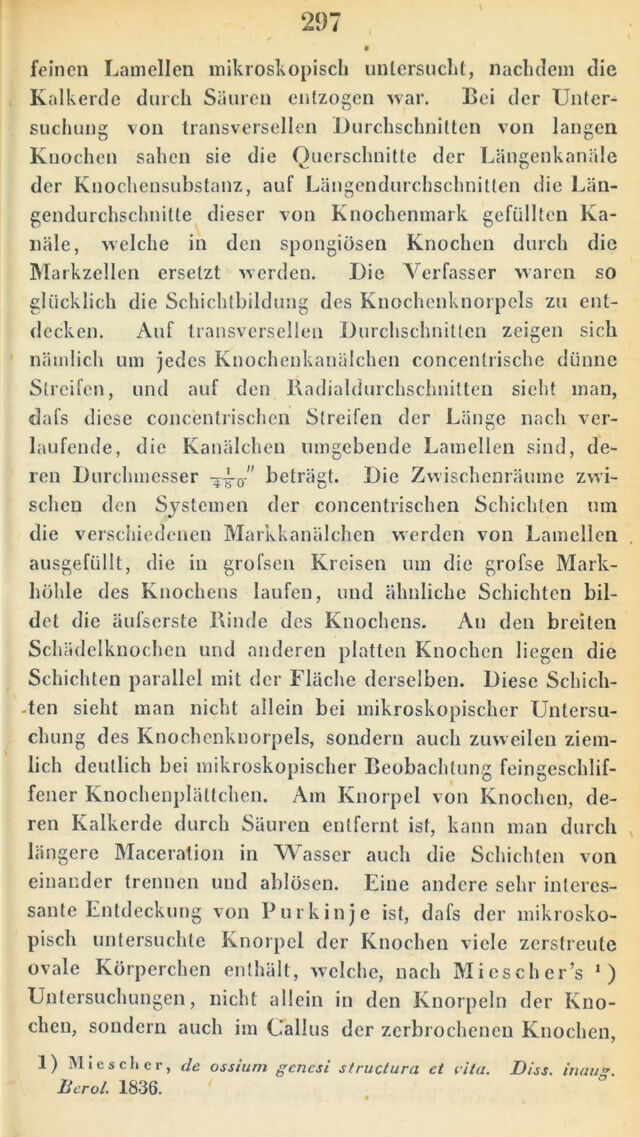 digitised image 3