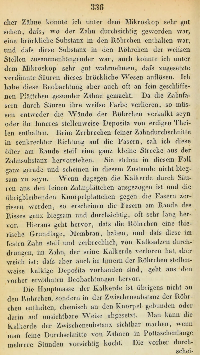 eher Zähne konnte ich unter dem Mikroskop sehr gut sehen, dafs, wo der Zahn durchsichtig geworden war, eine bröckliche Substanz in den Röhrchen enthalten war, und dafs diese Substanz in den Röhrchen der weifsen Stellen zusammenhängender war, auch konnte ich unter dem Mikroskop sehr gut wahrnehmen, dafs zugesetzte verdünnte Säuren dieses bröckliche Wesen auflösen. Ich habe diese Beobachtung aber auch oft an fein geschliffe- nen Plättchen gesunder Zähne gemacht. Da die Zahnfa- sern durch Säuren ihre weifse Farbe verlieren, so müs- sen entweder die Wände der Röhrchen verkalkt seyn oder ihr Inneres stellenweise Deposila von erdigen Thei- len enthalten. Beim Zerbrechen feiner Zahndurchschnitte in senkrechter Richtung auf die Fasern, sah ich diese öfter am Rande steif eine ganz kleine Strecke aus der Zahnsubstanz hervorstehen. Sic stehen in diesem Fall ganz gerade und scheinen in diesem Zustande nicht bieg- sam zu seyn. Wenn dagegen die Kalkerde durch Säu- ren aus den feinen Zahnplältchen ausgezogen ist und die übrigbleibenden Knorpelplättchen gegen die Fasern zer- rissen werden, so erscheinen die Fasern am Rande des Risses ganz biegsam und durchsichtig, oft sehr lang her- vor. Hieraus geht hervor, dafs die Röhrchen eine thie- rische Grundlage, Membran, haben, und dafs diese im festen Zahn steif und zerbrechlich, von Kalksalzen durch- drungen, im Zahn, der seine Kalkerde verloren hat, aber weich ist; dafs aber auch im Innern der Röhrchen stellen- weise kalkige Deposita vorhanden sind, §eht aus den vorher erwähnten Beobachtungen hervor. Die Hauptmasse der Kalkerde ist übrigens nicht an den Röhrchen, sondern in der Zwischensubstanz der Röhr- chen enthalten, chemisch an den Knorpel gebunden oder darin auf unsichtbare Weise abgesetzt. Man kann die Kalkerde der Zwischensubstanz sichtbar machen, wenn man feine Durchschnitte von Zähnen in Potlaschenlauge mehrere Stunden vorsichtig kocht. Die vorher durch- schei-