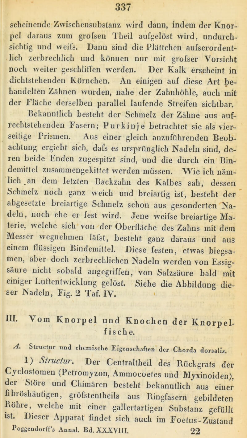 scheinende Zwischensubstanz wird dann, indem der Knor- pel daraus zum grofsen Theil aufgelöst wird, undurch- sichtig und weifs. Dann sind die Plättchen aufserordent- lich zerbrechlich und können nur mit grofser Vorsicht noch weiter geschliffen werden. Der Kalk erscheint in dichtstehenden Körnchen. An einigen auf diese Art be- handelten Zähnen wurden, nahe der Zahnhöhle, auch mit der Fläche derselben parallel laufende Streifen sichtbar. Bekanntlich besteht der Schmelz der Zähne aus auf- rechtstehenden Fasern; Purkinje befrachtet sie als vier- seitige Prismen. Aus einer gleich anzuführenden Beob- achtung ergiebt sich, dafs es ursprünglich Nadeln sind, de- ren beide Enden zugespitzt sind, und die durch ein Bin- demittel zusammengekiltet werden müssen. Wie ich näm- lich.an dem letzten Backzahn des Kalbes sah, dessen Schmelz noch ganz weich und breiartig ist, besteht der abgesetzte breiartige Schmelz schon aus gesonderten Na- deln, noch ehe er fest wird. Jene weifse breiartige Ma- terie, welche sich von der Oberfläche des Zahns mit dem Messer wegnehmen läfst, besteht ganz daraus und aus einem flüssigen Bindemittel. Diese festen, etwas biegsa- men, aber doch zerbrechlichen Nadeln werden von Essig- säuie nicht sobald angegriffen, von Salzsäure bald mit einiger Luftentwicklung gelöst. Siehe die Abbildung die- ser Nadeln, Fig. 2 Taf. IV. * III. Vom Knorpel und Knochen der Knorpel- fis c h e. A. Structur und chemische Eigenschaften der Chorda dorsalis. 1) Structur. Der Centraltheil des Rückgrats der Cyclostomen (Petromyzon, Ammocoefes und Myxinoiden), der Störe und Chimären besteht bekanntlich aus einer fibröshäutigen, gröfstentheils aus Ringfasern gebildeten Röhre, welche mit einer gallertartigen Substanz gefüllt ist. Dieser Apparat findet sich auch im Foetus-Zustand Poggendorff’s Annal. Bd. XXXVIII. 22