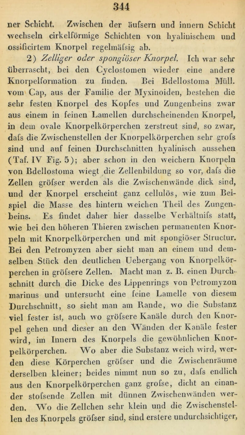 ner Schicht. Zwischen der äufsern und innern Schicht wechseln cirkelförmige Schichten von liyalinischem und ossilicirtem Knorpel regelmäfsig ab. 2) Zeitiger oder spongiöser Knorpel. Ich war sehr überrascht, bei den Cyclostomen wieder eine andere Knorpelformation zu finden. Bei Bdellosloma Müll, vom Cap, aus der Familie der Myxinoiden, bestehen die sehr festen Knorpel des Kopfes und Zungenbeins zwar aus einem in feinen Lamellen durchscheinenden Knorpel, in dem ovale Knorpelkörperchen zerstreut sind, so zwar, dafs die Zwischenstellen der Knorpelkörperchen sehr grofs sind und auf feinen Durchschnitten hyalinisch aussehen (Taf. IV Fig. 5); aber schon in den weichem Knorpeln von Bdellostoma wiegt die Zellenbildung so vor, dafs die Zellen gröfser werden als die Zwischenwände dick sind, und der Knorpel erscheint ganz cellulös, wie zum Bei- spiel die Masse des hintern weichen Theil des Zungen- beins. Es findet daher hier dasselbe Vcrhältnifs statt, wie bei den höheren Thieren zwischen permanenten Knor- peln mit Knorpelkörperchen und mit spongiöser Slructur. Bei den Petromyzen aber sieht man an einem und dem- selben Stück den deutlichen Uebergang von Knorpelkör- perchen in gröfsere Zellen. Macht man z. B. einen Durch- schnitt durch die Dicke des Lippenrings von Pctromyzon marinus und untersucht eine feine Lamelle von diesem Durchschnitt, so sieht man am Rande, wo die Substanz viel fester ist, auch wo gröfsere Kanäle durch den Knor- pel gehen und dieser an den Wänden der Kanäle fester wird, im Innern des Knorpels die gewöhnlichen Knor- pelkörperchen. Wo aber die Substanz weich wird, wer- den diese Körperchen gröfser und die Zwischenräume derselben kleiner; beides nimmt nun so zu, dafs endlich aus den Knorpelkörperchen ganz grofsc, dicht an einan- der stofsende Zellen mit dünnen Zwischenwänden wer- den. Wo die Zellchen sehr klein und die Zwischenstel- len des Knorpels gröfser sind, sind erslere undurchsichtiger,