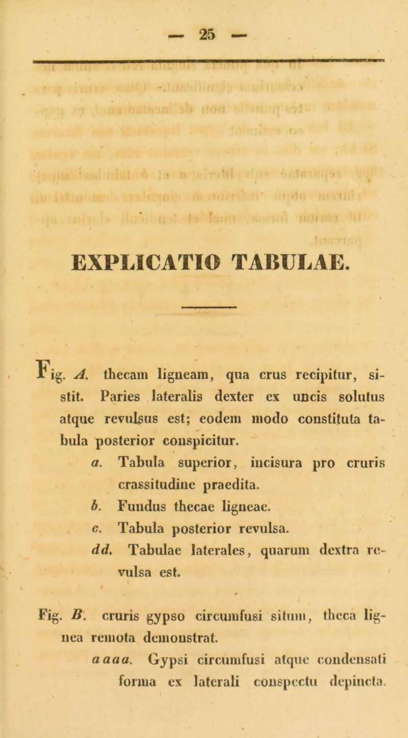 I f. EXPLICATIO TABULAE. Fig. A. thecam ligneam, qua crus recipitur, si- stit. Paries lateralis dexter ex uDcis solutus atque revulsus est; eodem modo constituta ta- bula posterior conspicitur. a. Tabula superior, incisura pro cruris crassitudine praedita. b. Fundus thecae ligneae. c. Tabula posterior revulsa. dd. Tabulae laterales, quarum dextra re- vulsa est. Fig. B. cruris gypso circumfusi situm, theca lig- nea remota demonstrat. aaaa. Gypsi circumfusi atque condensati forma ex laterali conspectu depincta.