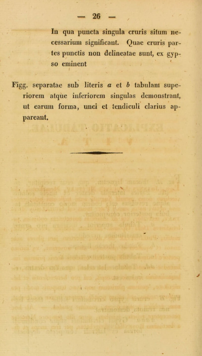 In qua puncta singula cruris silum ne- cessarium significant. Quae cruris par- tes punctis non delineatae sunt, ex gyp- so eminent I V Figg. separatae sub literis a et b tabulam supe- riorem atque inferiorem singulas demonstrant, « • ut earum forma, unci et tendiculi clarius ap- pareant. > I I X \ k - j I ! • i'>r