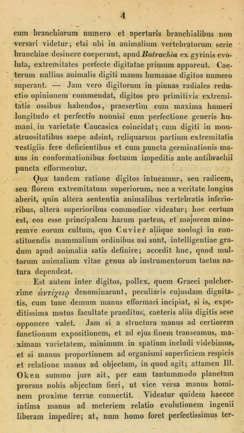 cum branchiarum numero et aperturis branchialibus non versari videtur; etsi ubi in animalium vertebratorum serie branchiae desinere coeperunt, apudBatrachia ex gyrinis evo- luta, extremitates perfecte digitatae primum apparent. Cae- terum nullius animalis digiti manus humanae digitos numero superant. — Jam vero digitorum in pinnas radiales redu- ctio opinionem commendat, digitos pro primitivis extremi- tatis ossibus habendos, praesertim cum maxima humeri longitudo et perfectio nonnisi cum perfectione generis hu- mani, in varietate Caucasica coincidat; cum digiti in mon- struositatibus saepe adsint, reliquarum partium extremitatis vestigiis fere deficientibus et cum puncta germinationis ma- nus in conformationibus foetuum impeditis ante antibrachii puncta ellormentur. ' . Qua' tandem ratione digitos intueamur, seu radicem, seu florem extremitatum superiorum, nec a veritate longius aberit, quin altera sententia animalibus vertebratis inferio- ribus, altera superioribus commodior videatur; hoc certum est, eos esse principalem harum partem, et majorem mino- remve eorum cultum, quo Cuvier aliique zoologi in con- stituendis mammalium ordinibus usi sunt, intelligentiae gra- dum apud animalia satis definire; accedit huc, quod mul- torum animalium vitae genus ab instrumentorum tactus na- tura dependeat. Est autem inter digitos, pollex, quem Graeci pulcher- rime avxiyuQ denominarunt, peculiaris cujusdam dignita- tis, cum tunc demum manus clformari incipiat, si is, expe- ditissima motus facultate praeditus1, cafeteris aliis digitis sesc opponere valet. Jam si a structura manus ad certiorem functionum expositionem, et ad ejus finem transeamus, ma- ximam varietatem, minimum in spatium includi videbimus, et si manus proportionem ad organismi superficiem respicis et relatione manus ad objectum, in quod agit; attamen 111. Oken summo jure ait, per eam tantummodo planctam prorsus nobis objectum fleri, ut vice versa manus homi- nem proxime terrae connectit. Videatur quidem liaeccc intima manus ad meteriem relatio evolutionem ingenii liberam impedire; at, num homo foret perfectissimus ter-