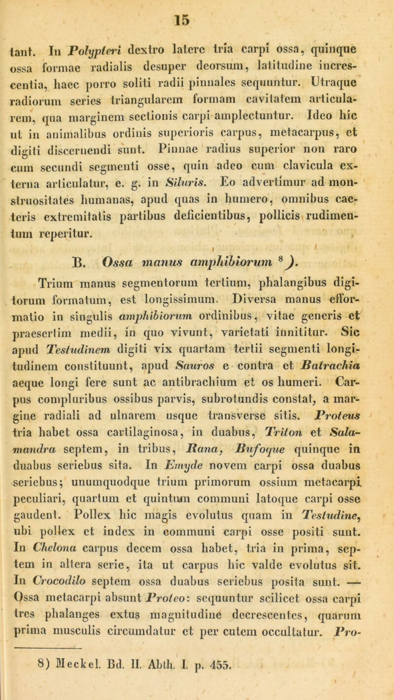 iant. In Polypieri dextro latere tria carpi ossa, quinque ossa formae radialis desuper deorsum, latitudine incres- centia, haec porro soliti radii pinnales sequuntur. Utraque radiorum series triangularem formam cavitatem articula- rem, qua marginem sectionis carpi amplectuntur. Ideo hic ut in animalibus ordinis superioris carpus, metacarpus, ct digiti discernendi sunt. Pinnae radius superior non raro cum secundi segmenti osse, quin adeo cum clavicula ex- terna articulatur, c. g. in Siluris. Eo advertimur ad mon- struositates humanas, apud quas in humero, omnibus cac- tcris extremitatis partibus delicientibus, pollicis rudimen- tum reperitur. i i B. Ossa manus amphibiorum *). Trium manus segmentorum tertium, phalangibus digi- torum formatum, est longissimum. Diversa manus elfor- matio in singulis amphibiorum ordinibus, vitae generis et praesertim medii, in quo vivunt, varietati innititur. Sic apud Testudinem digiti vix quartam tertii segmenti longi- tudinem constituunt, apud Sauros e contra et Batrachia aeque longi fere sunt ac antibrachium et os humeri. Car- pus compluribus ossibus parvis, subrotundis constat, a mar- gine radiali ad ulnarem usque transverse sitis. Proteus tria habet ossa cartilaginosa, in duabus, Triton et Sala- vnandra septem, in tribus, Rana. Bufoque quinque in duabus seriebus sita. In Emyde novem carpi ossa duabus seriebus; unumquodque trium primorum ossium metacarpi peculiari, quartum et quintum communi latoque carpi osse gaudent. Pollex hic magis evolutus quam in Testudine, ubi pollex ct index in communi carpi osse positi sunt. In Chelona carpus decem ossa habet, tria in prima, sep- tem in altera serie, ita ut carpus hic valde evolutus sit. In Crocodilo septem ossa duabus seriebus posila sunt. — Ossa metacarpi absunt Proteo: sequuntur scilicet, ossa carpi tres phalanges extus magnitudine decrescentes, quarum prima musculis circumdatur ct per cutem occultatur. Pro-