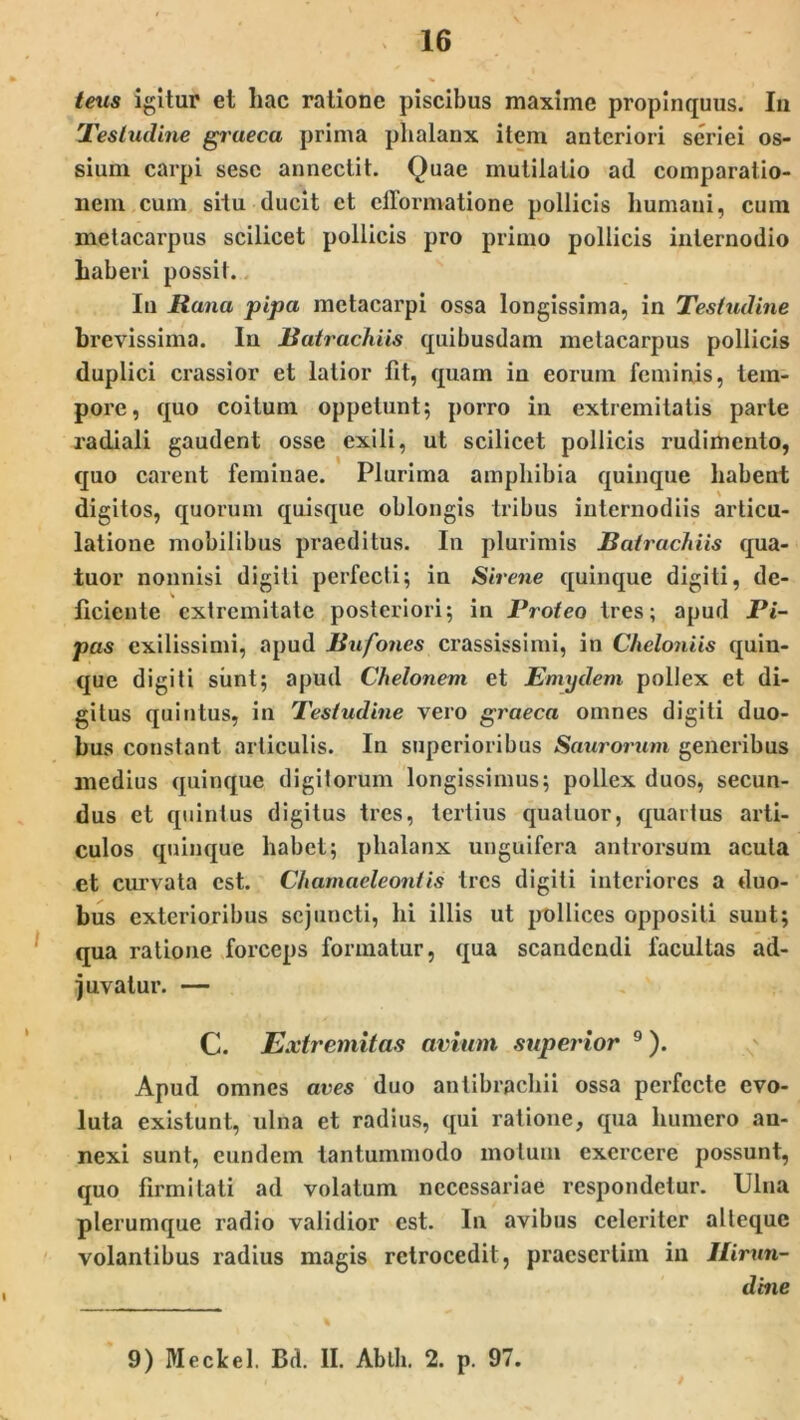 teus igitur et hac ratione piscibus maxime propinquus. In Testudine graeca prima phalanx item anteriori seriei os- sium carpi sese annectit. Quae inulilalio ad comparatio- nem cum situ ducit et efformatione pollicis humani, cum metacarpus scilicet pollicis pro primo pollicis internodio haberi possit. Iu Rana pipa metacarpi ossa longissima, in Testudine brevissima. In Batrachiis quibusdam metacarpus pollicis duplici crassior et latior fit, quam in eorum feminis, tem- pore, quo coitum oppetunt; porro in extremitatis parte radiali gaudent osse exili, ut scilicet pollicis rudimento, quo carent feminae. Plurima amphibia quinque habent digitos, quorum quisque oblongis tribus internodiis articu- latione mobilibus praeditus. In plurimis Batrachiis qua- tuor nonnisi digiti perfecti; in Sirene quinque digiti, de- ficiente extremitate posteriori; in Proteo tres; apud Pi- pas exilissimi, apud Bufones crassissimi, in Cheloniis quin- que digiti sunt; apud Chelonem et Emydem pollex et di- gitus quintus, in Testudine vero graeca omnes digiti duo- bus constant articulis. In superioribus Saurorum generibus medius quinque digitorum longissimus; pollex duos, secun- dus et quintus digitus tres, tertius quatuor, quartus arti- culos quinque habet; phalanx unguifera antrorsum acula et curvata est. Chamaeleontis tres digiti interiores a duo- bus exterioribus sejuncti, hi illis ut pollices oppositi sunt; qua ratione forceps formatur, qua scandendi lacullas ad- juvatur. — C. Extremitas avium superior 9). Apud omnes aves duo antibrachii ossa perfecte evo- luta exislunt, ulna et radius, qui ratione, qua humero an- nexi sunt, eundem tantummodo motum exercere possunt, quo firmitati ad volatum necessariae respondetur. Ulna plerumque radio validior est. In avibus celeriter alteque volantibus radius magis retrocedit, praesertim in Hirun- dine