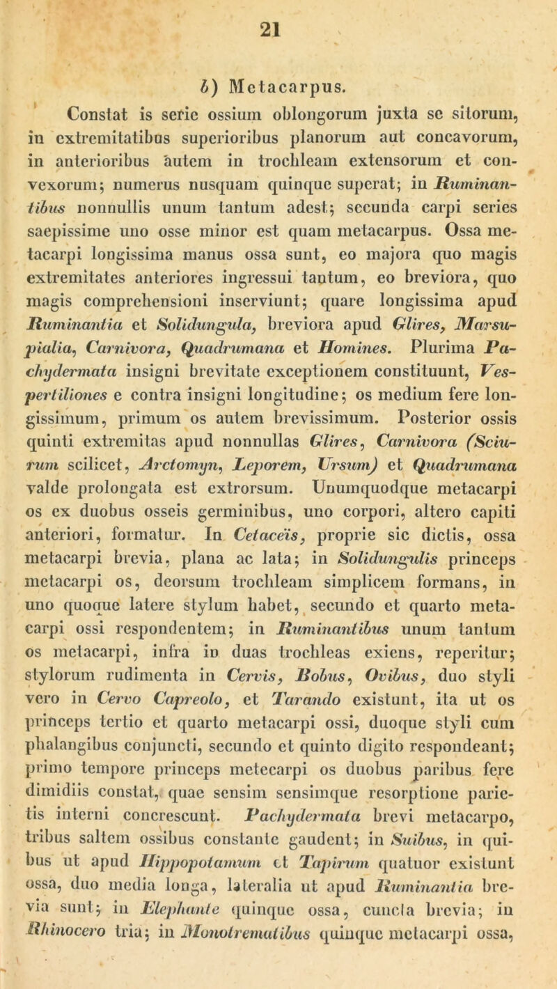 b) Metacarpus. Constat is serie ossium oblongorum juxta se sitorum, in extremitatibus superioribus planorum aut concavorum, in anterioribus 'autem in trochleam extensorum et con- vexorum; numerus nusquam quinque superat; iu Ruminan- tibus nonnullis unum tantum adest.; secunda carpi series saepissime uno osse minor est quam metacarpus. Ossa me- tacarpi longissima manus ossa sunt, eo majora quo magis extremitates anteriores ingressui tantum, eo breviora, quo magis comprehensioni inserviunt; quare longissima apud Ruminantia et Solidungula, breviora apud Glires, JWarsu- pialia, Carnivora, Quadrumana et Homines. Plurima Pa- chydermata insigni brevitate exceptionem constituunt, Ves- pertiliones e contra insigni longitudine; os medium fere lon- gissimum, primum os autem brevissimum. Posterior ossis quinti extremitas apud nonnullas Glires, Carnivora (Sciti- rum scilicet, Arctomyn, Leporem, Ursum) et Quadrumana valde prolongata est extrorsum. Unumquodque metacarpi os ex duobus osseis germinibus, uno corpori, altero capiti anteriori, formatur. In Cetaceis, proprie sic dictis, ossa metacarpi brevia, plana ac lata; in Solidungulis princeps metacarpi os, deorsum trochleam simplicem formans, in uno quoque latere stylum habet, secundo et quarto meta- carpi ossi respondentem; in Ruminantibus unum tantum os metacarpi, infra iD duas trochleas exiens, reperitur; stylorum rudimenta in Cervis, Robus, Ovibus, duo styli vero in Cervo Capreolo, et Tarando existunt, ita ut os princeps tertio et quarto metacarpi ossi, duoque styli cum phalangibus conjuncti, secundo et quinto digito respondeant; primo tempore princeps metecarpi os duobus paribus fere dimidiis constat,, quae sensim sensimque resorptione parie- tis interni concrescunt. Pachydermatu brevi metacarpo, tribus saltem ossibus constante gaudent; in Suibus, in qui- bus ut apud Hippopotamum ct Tapirum quatuor existunt ossa, duo media longa, lateralia ut apud Ruminantia bre- via sunt; in Elephante quinque ossa, cunela brevia; in Rhinocero tria; in Monolremutibus quinque metacarpi ossa,