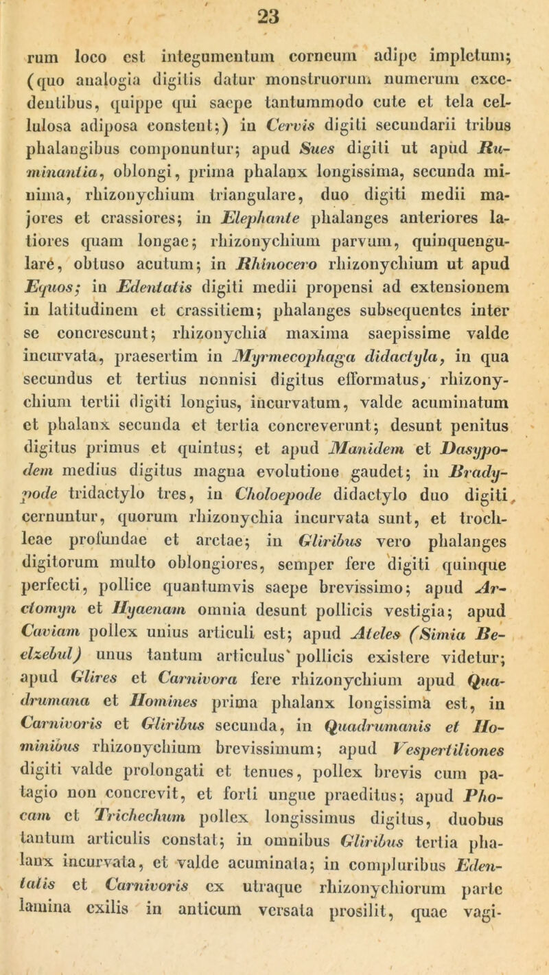 rum loco est integumentum corneum adipe impletum; (quo analogia digitis datur monslruorum numerum exce- dentibus, quippe qui saepe tantummodo cute et tela cel- lulosa adiposa constent;) in Cervis digiti secundarii tribus phalangibus componuntur; apud Sues digiti ut apiid Ru- minantia, oblongi, prima phalanx longissima, secunda mi- nima, rhizonychium triangulare, duo digiti medii ma- jores et crassiores; in Elephante phalanges anteriores la- tiores quam longae; rhizonychium parvum, quinquengu- lar6, obtuso acutum; in Rhinocero rhizonychium ut apud Equos; in Edentatis digiti medii propensi ad extensionem in latitudinem et crassitiem; phalanges subsequentes inter se concrescunt; rhizouychia maxima saepissime valde incurvata, praesertim in JHyrmecophaga didactyla, in qua secundus et tertius nonnisi digitus efformatus/ rhizony- chium tertii digiti longius, incurvatum, valde acuminatum et phalanx secunda et tertia concreverunt; desunt penitus digitus primus et quintus; et apud JManulem et Dasypo- dem medius digitus magua evolutione gaudet; in Rrady- pode tridactylo tres, in Choloepode didactylo duo digiti, cernuntur, quorum rhizouychia incurvata sunt, et troch- leae prolundae et arctae; in Gliribus vero phalanges digitorum multo oblongiores, semper fere digiti quinque perfecti, pollice quantumvis saepe brevissimo; apud Ar- ctomyn et Hyaenam omnia desunt pollicis vestigia; apud Caviam pollex unius articuli est; apud Ateles (Simia Re- elzebid) unus tantum articulus' pollicis existere videtur; apud Glires et Carnivora fere rhizonychium apud Qna- drumana et Homines prima phalanx longissima est, in Carnivoris et Gliribus secunda, in Quadrumanis et Ho- minibus rhizonychium brevissimum; apud Vespertiliones digiti valde prolongati et tenues, pollex brevis cum pa- tagio non concrevit, et forti ungue praeditus; apud Pho- cam et Trichechum pollex longissimus digitus, duobus tantum articulis constat; in omnibus Gliribus tertia pha- lanx incurvata, et valde acuminata; in compluribus Eden- tulis et Carnivoris ex utraque rhizonychiorum parte lamina exilis in anticum versata prosilit, quae vagi-