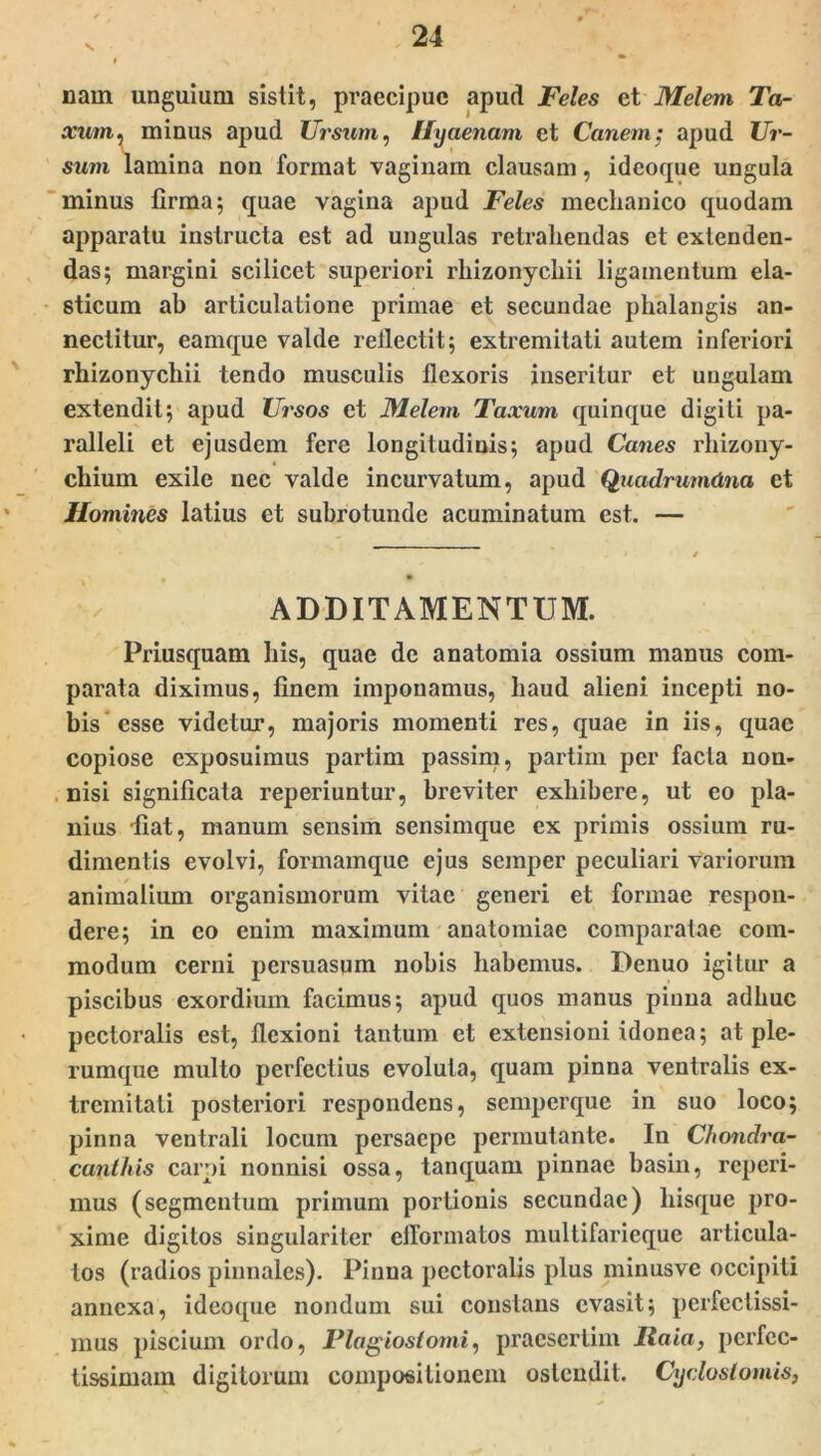 nam unguium sistit, praecipue apud Feles et Melem Ta- xum , minus apud Ursum, Hyaenam et Canem; apud Ur- sum lamina non format vaginam clausam, ideoque ungula minus firma; quae vagina apud Feles mechanico quodam apparatu instructa est ad ungulas retrahendas et extenden- das; margini scilicet superiori rhizonychii ligamentum ela- sticum ab articulatione primae et secundae phalangis an- nectitur, eamque valde reilectit; extremitati autem inferiori rhizonychii tendo musculis flexoris inseritur et ungulam extendit; apud Ursos et Melem Taxum quinque digiti pa- ralleli et ejusdem fere longitudinis; apud Canes rhizony- chium exile nec valde incurvatum, apud Quadrunuina et Homines latius et subrotunde acuminatum est. — ADDITAMENTUM. Priusquam his, quae de anatomia ossium manus com- parata diximus, finem imponamus, haud alieni incepti no- bis esse videtur, majoris momenti res, quae in iis, quae copiose exposuimus partim passim, partim per facta non- nisi significata reperiuntur, breviter exhibere, ut eo pla- nius fiat, manum sensim sensimque ex primis ossium ru- dimentis evolvi, formamque ejus semper peculiari variorum animalium organismorum vitae generi et formae respon- dere; in eo enim maximum anatomiac comparatae com- modum cerni persuasum nobis habemus. Denuo igitur a piscibus exordium facimus; apud quos manus pinna adhuc pectoralis est, flexioni tantum et extensioni idonea; at ple- rumque multo perfectius evoluta, quam pinna ventralis ex- tremitati posteriori respondens, semperque in suo loco; pinna ventrali locum persaepe permutante. In Chondra- cunthis carpi nonnisi ossa, tanquam pinnae basin, reperi- mus (segmentum primum portionis secundae) liisque pro- xime digitos singulariter elTormatos multifarieque articula- tos (radios pinnales). Pinna pectoralis plus minusvc occipiti annexa, ideoque nondum sui constans evasit; perfectissi- mus piscium ordo, Plagioslomi, praesertim Raia, perfec- tissimam digitorum compositionem ostendit. Cycloslomis,