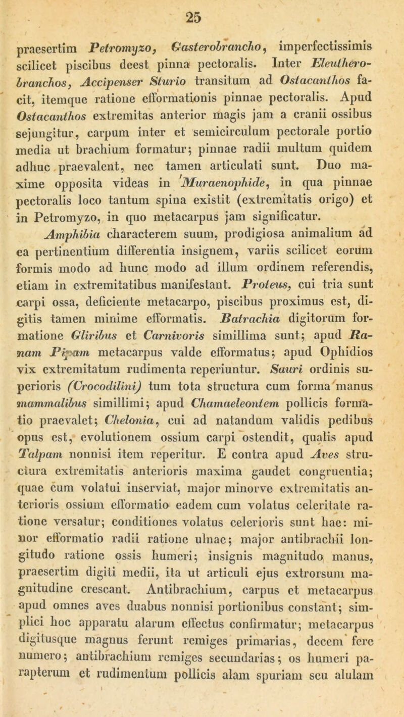 praesertim Petromyzo, Gasterobrancho, imperfectissimis scilicet piscibus deest pinna pectoralis. Inter Eleuthero- branchos, Accipenser Sturio transitum ad Ostacantlios fa- cit, itemque ratione clformationis pinnae pectoralis. Apud Ostacani/ios extremitas anterior magis jam a cranii ossibus sejungitur, carpum inter et semicirculum pectorale portio inedia ut brachium formatur; pinnae radii multum quidem adhuc praevalent, nec tamen articulati sunt. Duo ma- xime opposita videas in Muraenopkide, in qua pinnae pectoralis loco tantum spina existit (extremitatis origo) et in Petromyzo, in quo metacarpus jam significatur. Amphibia characterem suum, prodigiosa animalium ad ea pertinentium differentia insignem, variis scilicet eorum formis modo ad hunc modo ad illum ordinem referendis, etiam in extremitatibus manifestant. Proteus, cui tria sunt carpi ossa, deficiente metacarpo, piscibus proximus est, di- gitis tamen minime efformatis. Batrachia digitorum for- matione Gliribus et Carnivoris simillima sunt; apud Ra- nam Pipant metacarpus valde efformatus; apud Ophidios vix extremitatum rudimenta reperiuntur. Sauri ordinis su- perioris (Crocodilini) tum tota structura cum forma manus mammalibus simillimi; apud Chamaeleontem pollicis forma- tio praevalet; Chelonia, cui ad natandum validis pedibus opus est, evolutionem ossium carpi ostendit, qualis apud Talpam nonnisi item reperitur. E contra apud Aves stru- ctura extremitatis anterioris maxima gaudet congruentia; quae cum volatui inserviat, major minorve extremitatis an- terioris ossium elformatio eadem cum volatus celeritate ra- tione versatur; conditiones volatus celerioris sunt hac: mi- nor elformatio radii ratione ulnae; major antibrachii lon- gitudo ratione ossis humeri; insignis magnitudo manus, praesertim digiti medii, ita ut articuli ejus extrorsum ma- gnitudine crescant. Antibracliium, carpus et metacarpus apud omnes aves duabus nonnisi portionibus constant; sim- plici hoc apparatu alarum effectus confirmatur; metacarpus digitusque magnus ferunt remiges primarias, decem fere numero; antibracliium remiges secundarias; os humeri pa- rapterum et rudimentum pollicis alam spuriam seu alulam