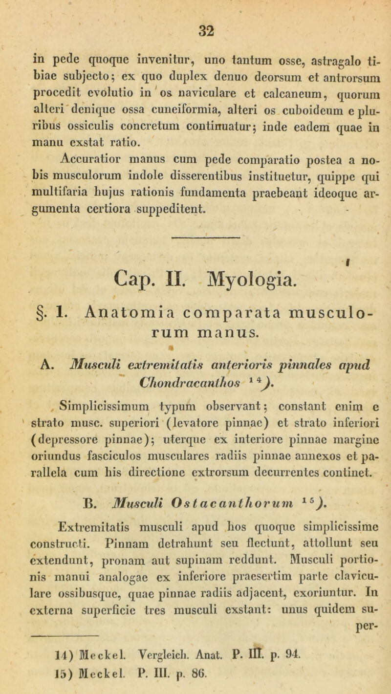 in pede quoque invenitur, uno tantum osse, astragalo ti- biae subjecto; ex quo duplex denuo deorsum et antrorsum procedit evolutio in os naviculare et calcaneum, quorum alteri denique ossa cuneiformia, alteri os cuboideum e plu- ribus ossiculis concretum continuatur; inde eadem quae in manu exstat ratio. Accuratior manus cum pede comparatio postea a no- bis musculorum indole disserentibus instituetur, quippe qui multifaria hujus rationis fundamenta praebeant idcoquc ar- gumenta certiora suppeditent. i Cap. II. Myologia. §. 1. Anatomia comparata musculo- rum manus. * * A. Musculi extremitatis anterioris pinnalcs apud Chondraeanthos 1 , Simplicissimum typum observant; constant enim e 1 strato musc. superiori (levatore pinnae) et strato inferiori (depressore pinnae); uterque ex interiore pinnae margine oriundus fasciculos musculares radiis pinnae annexos et pa- rallela cum his directione cxtrorsum decurrentes continet. • „ 0 B. Musculi Os tacant horum 1!i). Extremitatis musculi apud hos quoque simplicissime constructi. Pinnam detrahunt seu flectunt, attollunt seu extendunt, pronam aut supinam reddunt. Musculi portio- nis manui analogae ex inferiore praesertim parte clavicu- lare ossibusque, quae pinnae radiis adjacent, exoriuntur. In externa superficie tres musculi exstant: unus quidem su- per- 14) Meckel. Vergleich. Anat. P. IU. p. 94. 15) Meckel. P. III. p. 86.