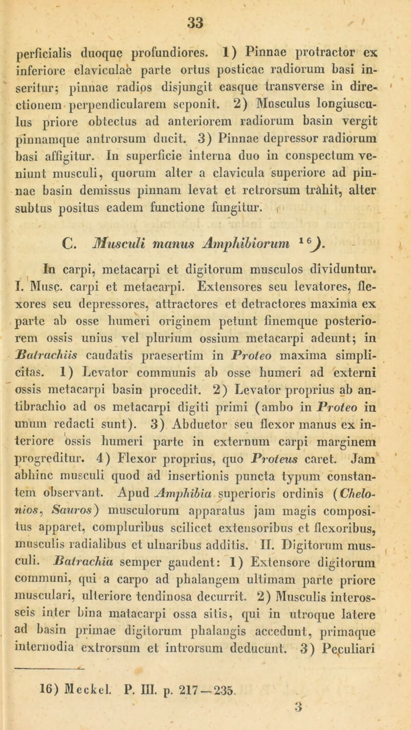 perficialis duoque profundiores. 1) Pinnae protractor ex inferiore claviculae parte ortus posticae radiorum basi in- seritur; pinnae radips disjungit easque transverse in dire- ctionem perpendicularem seponit. 2) Musculus longiuscu- lus priore obtectus ad anteriorem radiorum basin vergit pinnamque antrorsum ducit. 3) Pinnae depressor radiorum basi affigitur. In superficie interna duo in conspectum ve- niunt musculi, quorum alter a clavicula superiore ad pin- nae basin demissus pinnam levat et retrorsum trahit, alter subtus positus eadem functione fungitur, r C. Musculi manus Amphibiorum 1 (J. In carpi, metacarpi et digitorum musculos dividuntur. I. Musc. carpi et metacarpi. Extensores seu levatores, fle- xores seu depressores, attractorcs et detractores maxima ex parte ab osse humeri originem petunt finem que posterio- rem ossis unius vel plurium ossium metacarpi adeunt; in Balrachiis caudatis praesertim in Proteo maxima simpli- citas. 1) Levator communis ab osse humeri ad externi ossis metacarpi basin procedit. 2) Levator proprius ab an- tibrachio ad os metacarpi digiti primi (ambo in Proteo in unum redacti sunt). 3) Abductor seu flexor manus ex in- teriore Ossis humeri parte in externum carpi marginem progreditur. 4) Flexor proprius, quo Proteus caret. Jam abhinc musculi quod ad insertionis puncta typum constan- tem observant. Apud Amphibia superioris ordinis (Chelo- nios, Sciuros) musculorum apparatus jam magis composi- tus apparet, compluribus scilicet extensoribus et flexoribus, musculis radialibus et ulnaribus additis. II. Digitorum mus- culi. Batrachia semper gaudent: 1) Extensore digitorum communi, qui a carpo ad phalangem ultimam parte priore musculari, ulteriore tendinosa decurrit. 2) Musculis interos- seis inter bina matacarpi ossa silis, qui in utroque latere ad basin primae digitorum phalangis accedunt, primaque internodia extrorsum et introrsum deducunt. 3) Pepuliari 16) Meckel. P. III. p. 217-235. 3