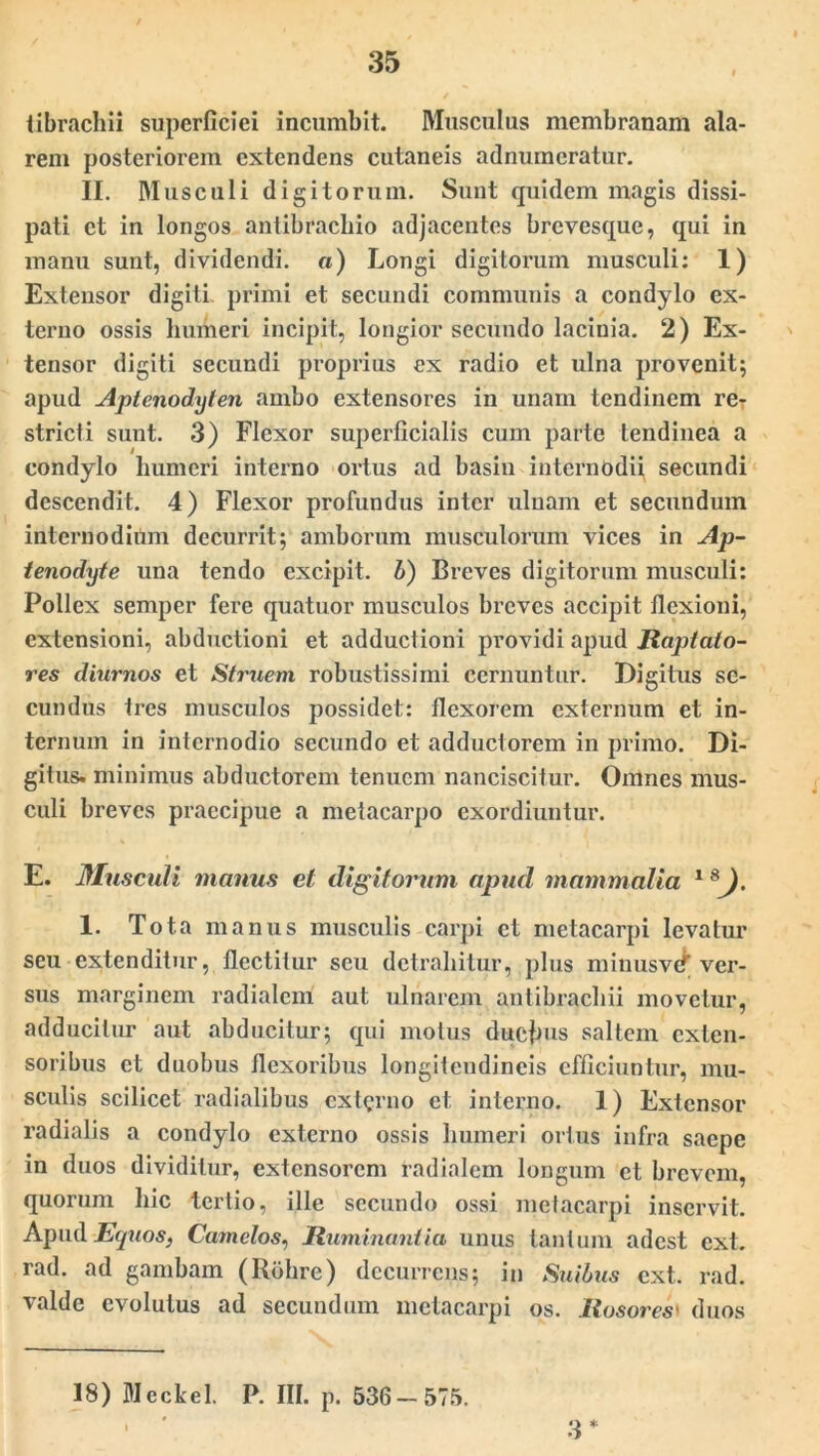 tibrachii superficiei incumbit. Musculus membranam ala- rem posteriorem extendens cutaneis adnuineratur. II. Musculi digitorum. Sunt quidem magis dissi- pati et in longos antibrachio adjacentes brevesque, qui in manu sunt, dividendi. «) Longi digitorum musculi: 1) Extensor digiti primi et secundi communis a condylo ex- terno ossis humeri incipit, longior secundo lacinia. 2) Ex- tensor digiti secundi proprius ex radio et ulna provenit; apud Aptenodyten ambo extensores in unam tendinem reT stricti sunt. 3) Flexor superficialis cum parte tendinea a condylo humeri interno ortus ad basin internodii secundi descendit. 4) Flexor profundus inter ulnam et secundum internodium decurrit; amborum musculorum vices in Ap- tenodyte una tendo excipit, b) Breves digitorum musculi: Pollex semper fere quatuor musculos breves accipit flexioni, extensioni, abductioni et adductioni providi apud Rapidio- res diurnos et Struem robustissimi cernuntur. Digitus se- cundus Ires musculos possidet: flexorem externum et in- ternum in internodio secundo et adductorem in primo. Di- gitus. minimus abductorem tenuem nanciscitur. Omnes mus- culi breves praecipue a metacarpo exordiuntur. E. Musculi manus et digitorum apud mammalia 1 8 ). 1. Tota manus musculis carpi et metacarpi levatur seu extenditur, flectitur seu detrahitur, plus minusvef ver- sus marginem radialem aut ulnarem antibrachii movetur, adducitur aut abducitur; qui motus ductus saltem exten- soribus et duobus flexoribus longitendineis efficiuntur, mu- sculis scilicet radialibus externo et interno. 1) Extensor radialis a condylo externo ossis humeri ortus infra saepe in duos dividitur, extensorem radialem longum et brevem, quorum hic tertio, ille secundo ossi metacarpi inservit. Apud E(juos, Camelos, Ruminantia unus tantum adest ext. rad. ad gambam (Rohre) decurrens; in Suibus ext. rad. valde evolutus ad secundum metacarpi os. Rosores' duos 18) Meckel. P. III. p. 536 — 575. 3 *