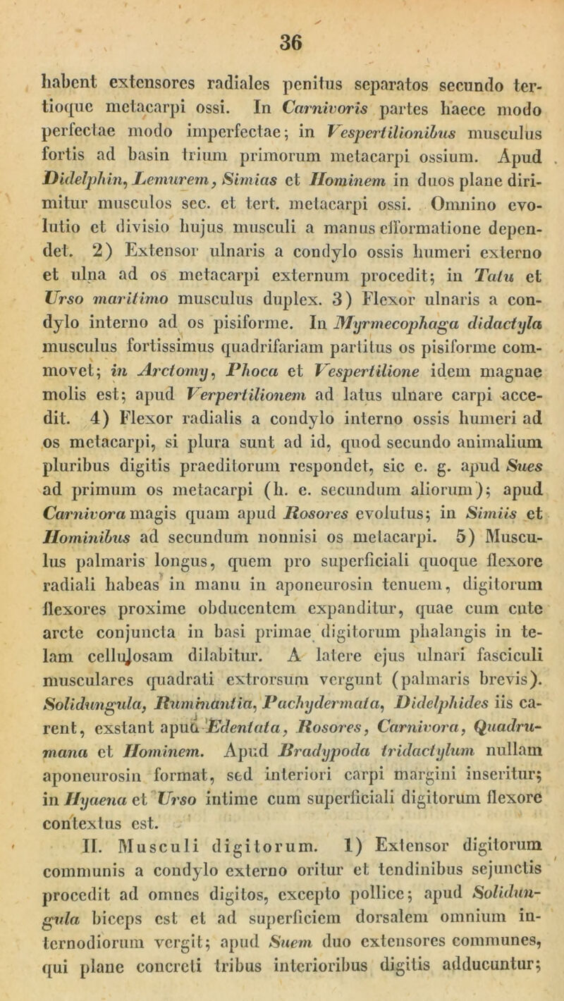 habent extensores radiales penitus separatos secundo ter- tioque metacarpi ossi. In Carnivoris partes haecc modo perfectae modo imperfectae; in Vespertilionibus musculus fortis ad basin trium primorum metacarpi ossium. Apud Didelpkin, Lemurem, Simias et Hominem in duos plane diri- mitur musculos sec. et tert. metacarpi ossi. Omnino evo- lutio et divisio hujus musculi a manus efformatione depen- det. 2) Extensor ulnaris a condylo ossis humeri externo et ulna ad os metacarpi externum procedit; in Tatn et Urso maritimo musculus duplex. 3) Flexor ulnaris a con- dylo interno ad os pisiforme. In JHyrmecophaga didactyla musculus fortissimus quadrifariam partitus os pisiforme com- movet; in Arctomy, Phoca et Vespertilione idem magnae molis est; apud Verpertilionem ad latus ulnare carpi acce- dit. 4) Flexor radialis a condylo interno ossis humeri ad os metacarpi, si plura sunt ad id, quod secundo animalium pluribus digitis praeditorum respondet, sic e. g. apud Sues ad primum os metacarpi (h. e. secundum aliorum); apud Carnivora magis quam apud Rosores evolutus; in Simiis et Hominibus ad secundum nonnisi os metacarpi. 5) Muscu- lus palmaris longus, quem pro superficiali quoque flexore radiali habeas in manu in aponeurosin tenuem, digitorum ilexores proxime obducentem expanditur, quae cum cute arcte conjuncta in basi primae digitorum phalangis in te- lam cellujosam dilabitur. A latere ejus ulnari fasciculi musculares quadrati extrorsum vergunt (palmaris brevis). Solidungula, Itum hiantia, Pachydermata, Didelphides iis ca- rent, exstant a\m(x Udentata, Rosores, Carnivora, Quadru- mana et Hominem. Apud Rradypoda tridactylum nullam aponeurosin format, sed interiori carpi margini inseritur; in Hyaena et Urso intime cum superficiali digitorum flexore contextus est. II. Musculi digitorum. 1) Extensor digitorum communis a condylo externo oritur et tendinibus sejunctis procedit ad omnes digitos, excepto pollice; apud Solidun- gula biceps est et ad superficiem dorsalem omnium in- ternodiorum vergit; apud Suem duo extensores communes, qui plane concreti tribus interioribus digitis adducuntur;