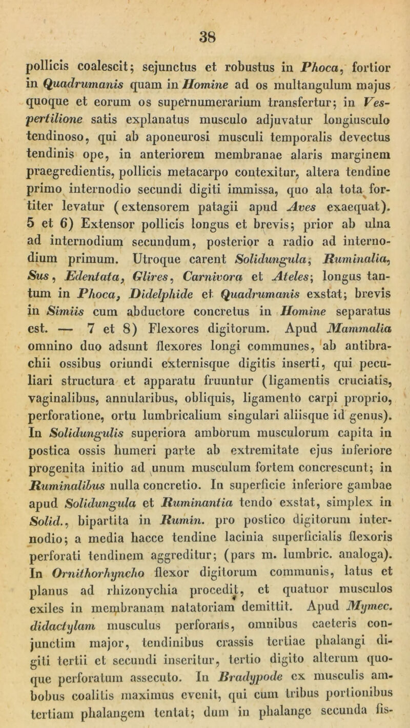 pollicis coalescit; sejunctus et robustus in Phoca, fortior in Quadrumanis quam in Homine ad os multangulum majus quoque et eorum os supernumerarium transfertur; in Ves- pertilione satis explanatus musculo adjuvatur longiusculo tendinoso, qui ab aponeurosi musculi temporalis devectus tendinis ope, in anteriorem membranae alaris marginem praegredientis, pollicis metacarpo contexitur, altera tendine primo internodio secundi digiti immissa, quo ala tota for- titer levatur (extensorem patagii apud Aves exaequat). 5 et 6) Extensor pollicis longus et brevis; prior ab ulna ad internodium secundum, posterior a radio ad interno- dium primum. Utroque carent Solidwigida, Ruminalia, Sus, Edentata, Glires, Carnivora et Ateles; longus tan- tum in Phoca} JDidelphide et Quadrumanis exstat; brevis in Simiis cum abductore concretus in Homine separatus est. — 7 et 8) Flexores digitorum. Apud Mammalia omnino duo adsunt flexores longi communes, ab antibra- chii ossibus oriundi externisque digitis inserti, qui pecu- liari structura et apparatu fruuntur (ligamentis cruciatis, vaginalibus, annularibus, obliquis, ligamento carpi proprio, perforatione, ortu lumbricalium singulari aliisque id genus). In Solidungulis superiora amborum musculorum capita in postica ossis humeri parte ab extremitate ejus inferiore progenita initio ad unum musculum fortem concrescunt; in Ruminalibus nulla concretio. In superficie inferiore gambae apud Solidungida et Ruminantia tendo exstat, simplex in Solui., bipartita in Rumin. pro postico digitorum inter- nodio; a media liacce tendine lacinia superficialis flexoris perforati tendinem aggreditur; (pars m. lumbric. analoga). In Ornithorhyricho flexor digitorum communis, latus et planus ad rkizonychia procedit, et quatuor musculos exiles in merpbranam natatoriam demittit. Apud Mymec. didactylam musculus perforaris, omnibus caeleris con- junctim major, tendinibus crassis tertiae phalangi di- giti tertii et secundi inseritur, tertio digito alterum quo- que perforatum assecuto. In Rradypode ex musculis am- bobus coalitis maximus evenit, qui cum tribus portionibus tertiam phalangem tentat; dum in phalange secunda fis-