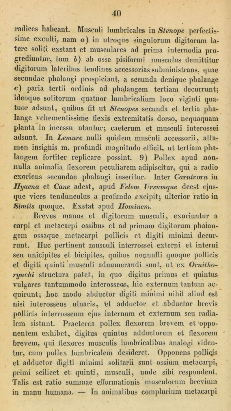 4 radices habeant. Musculi lumbricales in Stenope perfectis- sime exculti, nam a) in utroque singulorum digitorum la- tere soliti exstant et musculares ad prima internodia pro- grediuntur, tum 6) ab osse pisiformi musculus demittitur digitorum lateribus tendines accessorias subministrans, quae secundae phalangi prospiciant, a secunda denique phalange c) paria tertii ordinis ad phalangem tertiam decurrunt; ideoque solitorum quatuor lumbricalium loco viginti qua- tuor adsunt, quibus fit ut Stenopes secunda et tertia pha- lange vehementissime flexis extremitatis dorso, nequaquam planta in incessu utantur; caeterum et musculi interossei adsunt. In Lemure nulli quidem musculi accessorii, atta- men insignis m. profundi magnitudo efficit, ut tertiam pha- langem fortiter replicare possint. 9) Pollex apud nOn- liulla animalia flexorem peculiarem adipiscitur, qui a radio exoriens secundae phalangi inseritur. Inter Carnivora in Hyaena et Cane adest, apud Felem Ursumque decst e jus- que vices tenduuculus a profundo jexcipit; ulterior ratio in Simiis quoque. Exstat apud Hominem. \ Breves manus et digitorum musculi, exoriuntur a carpi et metacarpi ossibus et ad primam digitorum phalan- gem ossaque metacarpi pollicis et digiti minimi decur- runt. Huc pertinent musculi interrossei externi et interni seu unicipites et bicipites, quibus nonnulli quoque pollicis et digiti quinti musculi adnumerandi sunt, ut ex Ornitho- rynchi structura patet, in quo digitus primus et quintus vulgares tantummodo interosseos, hic externum tantum ac- quirunt; hoc modo abductor digiti minimi nihil aliud est nisi interosseus ulnaris, 'et adductor et abductor brevis pollicis interrosseum ejus internum et externum seu radia- lem sistunt. Praeterea pollex flexorem brevem et oppo- nentem exhibet, digitus quintus adductorem et flexorem brevem, qui flexores musculis lumbricalibus analogi viden- tur, cum pollex lumbricalem desideret. Opponens polligs et adductor digiti minimi solitarii sunt ossium metacarpi, primi scilicet et quinti, musculi, unde sibi respondent. Talis est ratio summae cflormationis musculorum brevium in manu humana. — In animalibus complurium metacarpi