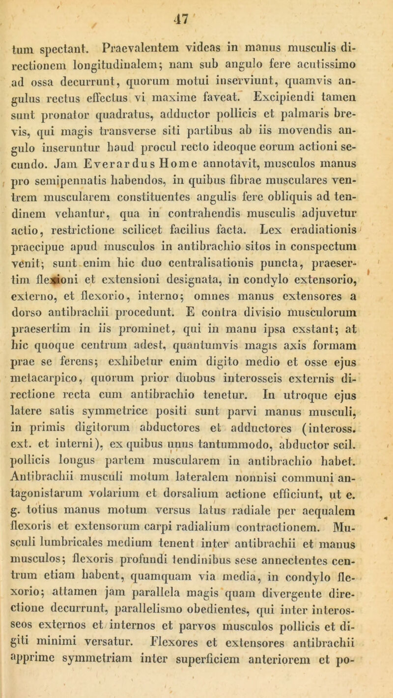 17 tum spectant. Praevalentem videas in manus musculis di- rectionem longitudinalem; nam sub angulo fere acutissimo ad ossa decurrunt, quorum motui inserviunt, quamvis an- gulus rectus effectus vi maxime faveat. Excipiendi tamen sunt pronator quadratus, adductor pollicis et palmaris bre- vis, qui magis transverse siti partibus ab iis movendis an- gulo inseruntur haud procul recto ideoque eorum actioni se- cundo. Jam Everar dus Home annotavit, musculos manus pro semipennatis habendos, in quibus fibrae musculares ven- trem muscularem constituentes angulis fere obliquis ad ten- dinem vehantur, qua in contrahendis musculis adjuvetur actio, restrictione scilicet facilius facta. Lex eradiationis praecipue apud musculos in antibrachio sitos in conspectum venit; sunt enim hic duo centralisationis puncta, praeser- tim lle^oni et extensioni designata, in condylo extensorio, externo, et flexorio, interno; omnes manus extensores a dorso antibrachii procedunt. E contra divisio musculorum praesertim in iis prominet, qui in manu ipsa exstant; at hic quoque centrum adest, quantumvis magis axis formam prae se ferens; exhibetur enim digito medio et osse ejus metacarpico, quorum prior duobus interosseis externis di- rectione recta cum antibrachio tenetur. In utroque ejus latere satis symmetrice positi sunt parvi manus musculi, in primis digitorum abductores et adductores (inteross. ext. et interni), ex quibus unus tantummodo, abductor scii, pollicis longus partem muscularem in antibrachio habet. Antibrachii musculi motum lateralem nonnisi communi an- tagonistarum volarium et dorsalium actione efficiunt, ut e. g. totius manus motum versus latus radiale per aequalem flexoris et extensorum carpi radialium contractionem. Mu- sculi lumbricales medium tenent inter antibrachii et manus musculos; flexoris profundi tendinibus sese annectentes cen- trum etiam habent, quamquam via media, in condylo fle- xorio; attamen jam parallela magis quam divergente dire- ctione decurrunt, parallelismo obedientes, qui inter interos- seos externos et internos et parvos musculos pollicis et di- giti minimi versatur. Flexores et extensores antibrachii apprime symmetriam inter superficiem anteriorem et po-