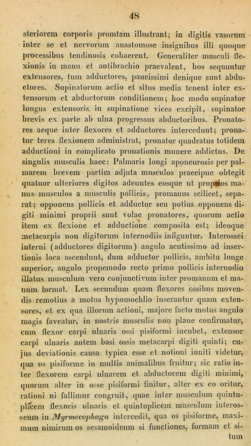 stcriorcm corporis promiam illustrant; in digitis vasorum inter sc ct nervorum anastomose insignibus illi quoque processibus tendinosis cohaerent. Generaliter musculi fle- xionis in manu et antibrachio praevalent, hos sequuntur extensores, tum adductores, paucissimi denique sunt abdu- ctores. Supinatorum actio et situs media tenent inter ex- tensorum ct abductorum conditionem; hoc modo supinator longus extensoris in supinatione vices excipit, supinator brevis ex parte ab ulna progressus abductoribus. Pronalo- res aeque inter flexores et adductores intercedunt; prona- tor teres flexionem administrat, pronator quadratus totidem adductioni in complicato pronationis munei'e addictus. De singulis musculis haec: Palmaris longi aponeurosis per pal- marem brevem partim adjuta musculos praecipue obtegit quatuor ulteriores digitos adeuntes eosque ut propmos ma- nus musculos a musculis pollicis, promanus scilicet, sepa- rat; opponens pollicis et adductor seu potius opponens di- giti minimi proprii sunt volae pronatores, quorum actio item ex flexione et adductione composita est; ideoque metacarpis non digitorum internodiis infiguntur. Interossei interni (adductores digitorum) angulo acutissimo ad inser- tionis loca ascendunt, dum adductor pollicis, ambitu longe superior, angulo propemodo recto primo pollicis internodio illatus musculum vero conjunctivum inter promauum et ma- num format. Lex secundum quam flexores ossibus moven- dis remotius a motus hypomochlio inserantur quam exten- sores, et ex qua illorum actioni, majore facto motus angulo magis faveatur, in nostris musculis non plane confirmatur, cum flexor carpi ulnaris ossi pisiformi incubet, extensor carpi ulnaris autem basi ossis metacarpi digiti quinti; cu- jus deviationis causa typica esse et notioni inniti videtur, qua os pisiforme in multis animalibus fruitur; sic ratio in- ter flexorem carpi ulnarem et abductorem digiti minimi, quorum alter in osse pisiformi finitur, alter ex co oritur, rationi ni fallimur congruit, quae inter musculum quintu- plicem flexoris ulnaris ct quintuplicem musculum interos- seum in DJxfrmecophaga intercedit, qua os pisilormc, maxi- mum nimirum os sesamoideum si functiones, formam ct si- tum