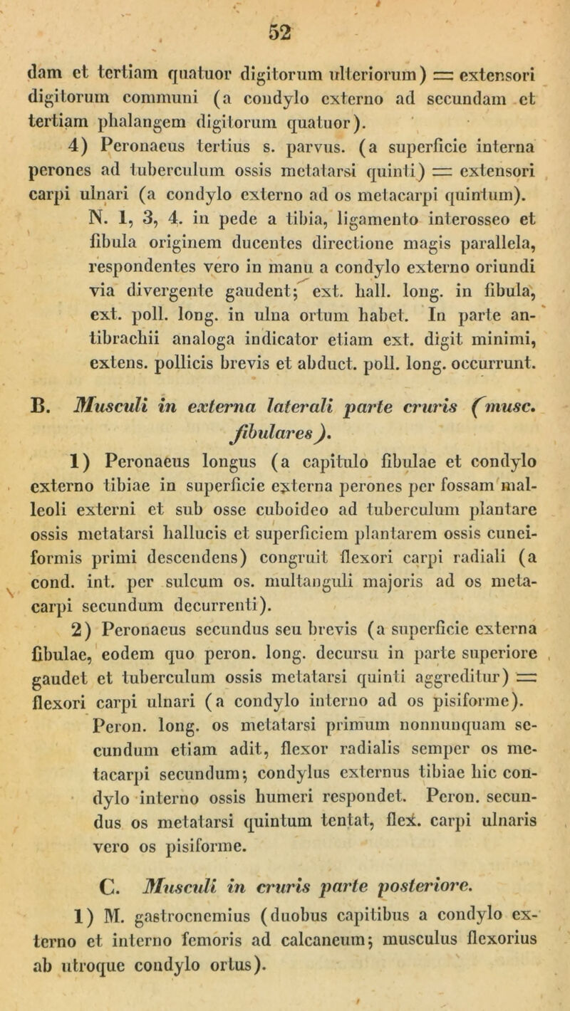 dam et tertiam quatuor digitorum ulteriorum )== extensori digitorum communi (a condylo externo ad secundam ct tertiam phalangem digitorum quatuor). 4) Peronaeus tertius s. parvus, (a superficie interna perones ad tuberculum ossis metatarsi quinti) — extensori carpi ulnari (a condylo externo ad os metacarpi quirrlum). N. 1, 3, 4. in pede a tibia, ligamento interosseo et fibula originem ducentes directione magis parallela, respondentes vero in manu a condylo externo oriundi via divergente gaudent; ext. hall. long. in fibula, ext. poli. long. in ulna ortum habet. In parte an- librachii analoga indicator etiam ext. digit minimi, extens. pollicis brevis et abduct. poli. long. occurrunt. B. Musculi in externa laterali parte cruris (musc. Jibulares ). 1) Peronaeus longus (a capitulo fibulae et condylo externo tibiae in superficie cjrterna perones per fossam mal- leoli externi et sub osse cuboideo ad tuberculum plantare ossis metatarsi hallucis et superficiem plantarem ossis cunei- formis primi descendens) congruit flexori carpi radiali (a cond. int. per sulcum os. multanguli majoris ad os meta- carpi secundum decurrenti). 2) Peronaeus secundus seu brevis (a superficie externa fibulae, eodem quo peron. long. decursu in parte superiore gaudet et tuberculum ossis metatarsi quinti aggreditur) '= flexori carpi ulnari (a condylo interno ad os pisiforme). Peron. long. os metatarsi primum nonnunquam se- cundum etiam adit, flexor radialis semper os me- tacarpi secundum; condylus externus tibiae hic con- dylo interno ossis humeri respondet. Peron. secun- dus os metatarsi quintum tentat, flei. carpi ulnaris vero os pisiforme. C. Musculi in cruris parte posteriore. 1) M. gastrocnemius (duobus capitibus a condylo ex- terno ct interno femoris ad calcaneum; musculus flexorius ab utroque condylo ortus).