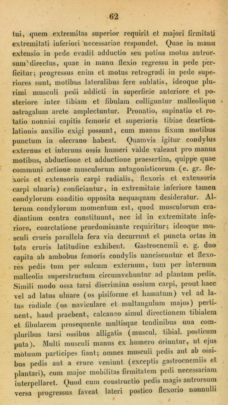 f>2 tui, quem extremitas superior requirit et majori firmitati extremitati inferiori 'necessariae respondet. Quae iu mauu extensio in pede evadit adductio seu potius motus antror- sum'directus, quae in manu flexio regressu in pede per- ficitur; progressus enim et motus retrogradi in pede supe- riores sunt, motibus lateralibus fere sublatis, ideoque plu- rimi musculi pedi addicti in superficie anteriore et po- steriore inter tibiam et fibulam colliguntur malleolique * astragalum arcte amplectuntur. Pronatio, supinatio et ro- tatio nonnisi capitis femoris et superioris tibiae dearticu- lationis auxilio exigi possunt, cum manus fixum motibus punctum in olecrano habeat. Quamvis igitur condylus externus et internus ossis humeri valde valeant pro manus motibus, abductione et adductione praesertim, quippe quae communi actione musculorum antagonisticorum (e. gr. fle- xoris et extensoris carpi radialis, flexoris et extensoris carpi ulnaris) conficiantur, in extremitate inferiore tamen condylorum conditio opposita nequaquam desideratur. Al- terum condylorum momentum est, quod musculorum era- diantium centra constituunt, nec id in extremitate infe- riore, coarctatione praedominante requiritur; ideoque mu- sculi cruris parallela fera via decurrunt et puncta ortas in tota cruris latitudine exhibent. Gastrocnemii e. g. duo capita ab ambobus femoris condylis nanciscuntur et flexo- res pedis tum per sulcum externum, tum per internum malleolis superstructum circumvehuntur ad plantam pedis. Simili modo ossa tarsi discrimina ossium carpi, prout haec vel ad latus ulnare (os pisiforme et hamatum) vel ad la- tus radiale (os naviculare et multangulum majus) perti- nent, haud praebent, calcaneo simul directionem tibialem et fibularem prosequente multisque tendinibus una com- pluribus tarsi ossibus alligatis (muscul. tibial. posticum puta). Multi musculi manus ex humero oriuntur, ut ejus mOtuum participes fiant; omnes musculi pedis aut ab ossi- bus pedis aut a crure veniunt (exceptis gastrocnemiis et plantari), cum major mobilitas firmitatem pedi necessariam interpellaret. Quod cum constructio pedis magis antrorsum versa progressus faveat lateri postico flexorio nonnulli 9 I