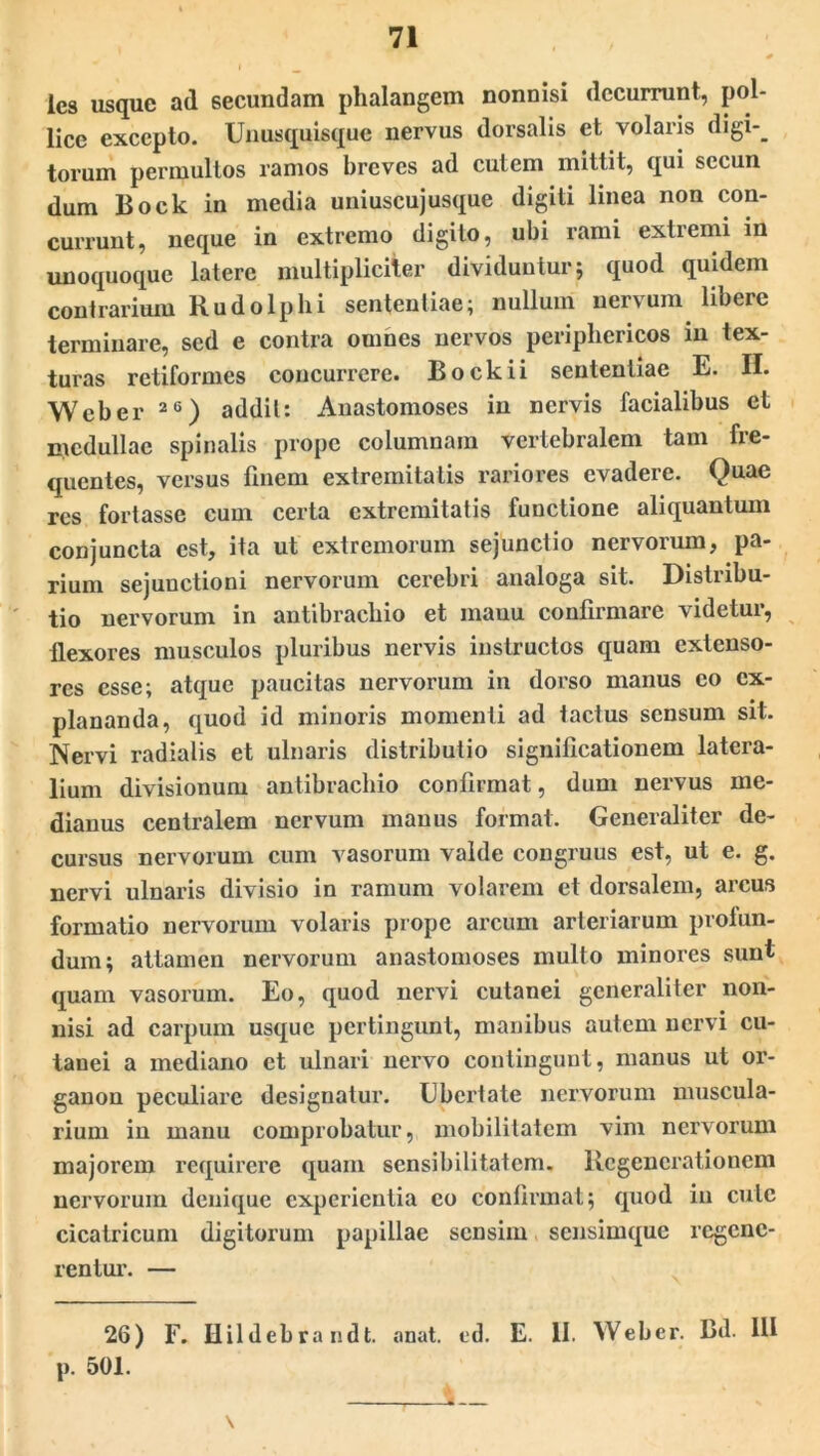 ies usque ad secundam phalangem nonnisi decurrunt, pol- lice excepto. Unusquisque nervus dorsalis et volaris digi-_ torum permultos ramos breves ad cutem mittit, qui sccun dum Bock in media uniuscujusque digiti linea non con- currunt, neque in extremo digito, ubi rami exticmi in unoquoque latere multipliciter dividuntur; quod quidem contrarium Rudo Iphi sententiae; nullum nervum libere terminare, sed e contra omnes nervos periphericos in tex- turas retiformes concurrere. Bock ii sententiae E. II. Web er 26) addit: Anastomoses in nervis facialibus et medullae spinalis prope columnam vertebralem tam fre- quentes, versus finem extremitatis rariores evadere. Quae res fortasse cum certa extremitatis functione aliquantum conjuncta est, ita ut extremorum sejunctio nervorum, pa- rium sejunctioni nervorum cerebri analoga sit. Distribu- tio nervorum in antibrachio et manu confirmare videtur, ilexores musculos pluribus nervis instructos quam extenso- res esse; atque paucitas nervorum in dorso manus eo ex- plananda, quod id minoris momenti ad tactus sensum sit. Nervi radialis et ulnaris distributio significationem latera- lium divisionum antibrachio confirmat, dum nervus me- dianus centralem nervum manus format. Generaliter de- cursus nervorum cum vasorum valde congruus est, ut e. g. nervi ulnaris divisio in ramum volarem et dorsalem, arcus formatio nervorum volaris prope arcum arteriarum profun- dum; attamen nervorum anastomoses multo minores sunt quam vasorum. Eo, quod nervi cutanei generaliter non- nisi ad carpum usque pertingunt, manibus autem nervi cu- tanei a mediano et ulnari nervo contingunt, manus ut or- ganon peculiare designatur. Ubertate nervorum muscula- rium in manu comprobatur, mobilitatem vim nervorum majorem requirere quam sensibilitatem. Regenerationem nervorum denique experientia eo confirmat; quod in cule cicatricum digitorum papillae sensim sensimque regene- rentur. — 26) F. Hildebrandt. anat. ed. E. 11. Weber. Bd. 111 p. 501. , 1 \