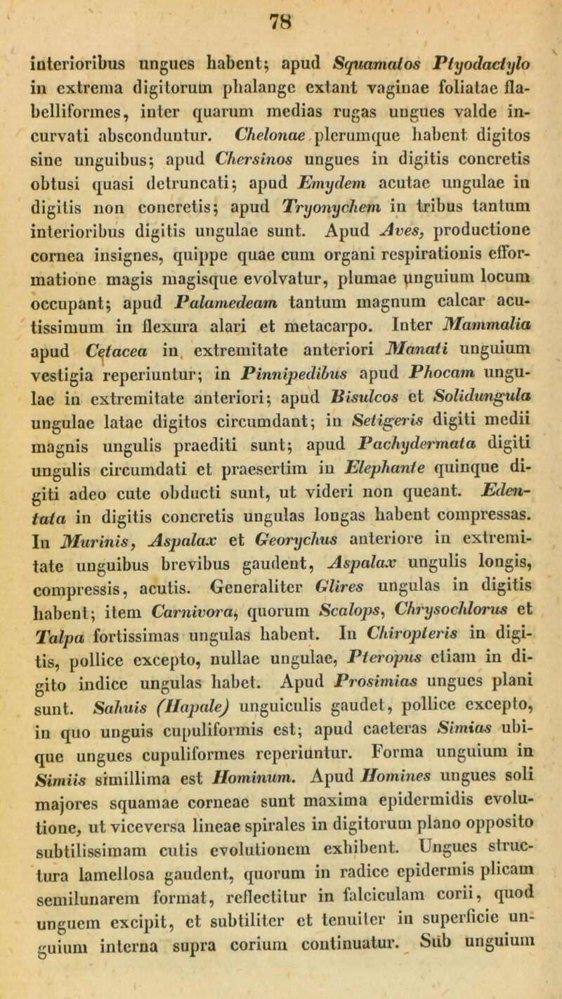 interioribus ungues habent; apud Squamatos Ptyodactylo in extrema digitorum phalange extant vaginae foliatae fla- bellifonnes, inter quarum medias rugas ungues valde in- curvati absconduntur. Chelonae plerumque habent digitos sine unguibus; apud Chersinos ungues in digitis concretis obtusi quasi detruncati; apud Emydem acutae ungulae in digitis non concretis; apud Tryonychem in tribus tantum interioribus digitis ungulae sunt. Apud Aves, productione cornea insignes, quippe quae cum organi respirationis effor- matione magis magisque evolvatur, plumae pnguium locum occupant; apud Palamedeam tantum magnum calcar acu- tissimum in flexura alari et metacarpo. Inter Mammalia apud Cqtacea in extremitate anteriori Manati unguium vestigia reperiuntur; in Pinnipedibus apud Phocam ungu- lae in extremitate anteriori; apud Bisulcos et Solidungula ungulae latae digitos circumdant; in Seligeris digiti medii magnis ungulis praediti sunt; apud Pachydermata digiti ungulis circumdati et praesertim in Elephante quinque di- giti adeo cute obducti sunt, ut videri non queant. Eden- tata in digitis concretis ungulas longas habent compressas. In Murinis, Aspalax et Georychus anteriore in extremi- tate unguibus brevibus gaudent, Aspalax ungulis longis, compressis, acutis. Generaliter Glires ungulas in digitis habent; item Carnivora, quorum Scalops, Chrysocldorus et Talpa fortissimas ungulas habent. In Chiropleris in digi- tis, pollice excepto, nullae ungulae, Pteropus etiam in di- gito indice ungulas habet. Apud Prosimias ungues plani sunt. Sahuis (HapaleJ unguiculis gaudet, pollice excepto, in quo unguis cupuliformis est; apud caeteras Simias ubi- que ungues cupuliformes reperiuntur. Forma unguium in Simiis simillima est Hominum. Apud Homines ungues soli majores squamae corneae sunt maxima epidermidis evolu- tione, ut viceversa lineae spirales in digitorum plano opposito subtilissimam cutis evolutionem exhibent. Ungues struc- tura lamellosa gaudent, quorum in radice epidermis plicam semilunarem format, reflectitur in falciculam corii, quod unguem excipit, et subtiliter et tenuiter in superficie un- guium interna supra corium continuatur. Sub unguium