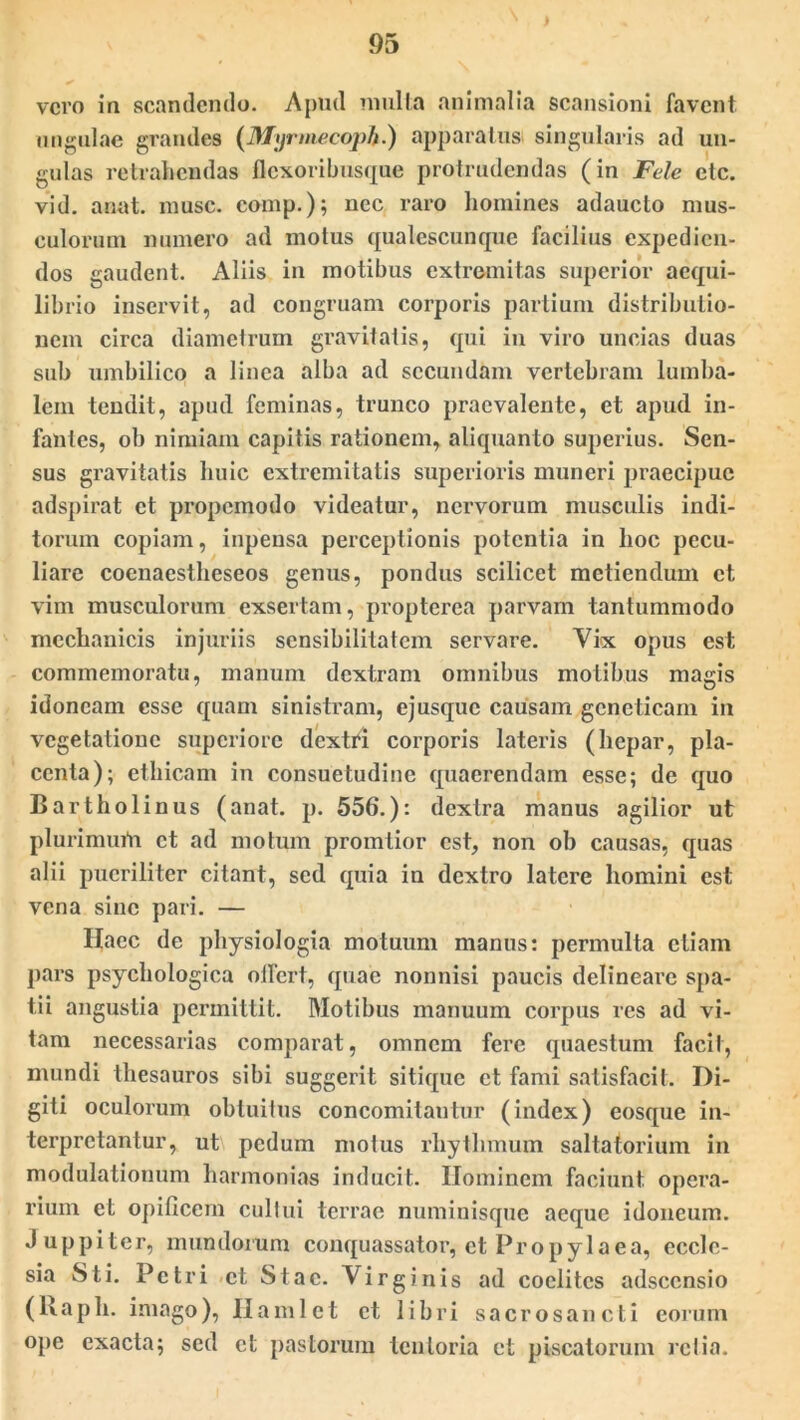 vero in scandendo. Apud multa animalia scansioni favent, ungulae grandes (Myrmecoph.) apparatus singularis ad un- gulas retrahendas flexoribusque protrudendas (in Fele etc. vid. anat. musc. comp.); nec raro homines adaucto mus- culorum numero ad motus qualescunque facilius expedien- dos gaudent. Aliis in motibus extremitas superior aequi- librio inservit, ad congruam corporis partium distributio- nem circa diametrum gravitatis, qui in viro uncias duas sub umbilico a linea alba ad secundam vertebram lumba- lem tendit, apud feminas, trunco praevalente, et apud in- fantes, ob nimiam capitis rationem, aliquanto superius. Sen- sus gravitatis huic extremitatis superioris muneri praecipue adspirat et propemodo videatur, nervorum musculis indi- torum copiam, inpensa perceptionis potentia in hoc pecu- liare coenaestheseos genus, pondus scilicet metiendum et vim musculorum exsertam, propterca parvam tantummodo mechanicis injuriis sensibilitatem servare. Yix opus est commemoratu, manum dextram omnibus motibus magis idoneam esse quam sinistram, ejusque causam geneticam in vegetatione superiore dextri corporis lateris (hepar, pla- centa); ethicam in consuetudine quaerendam esse; de quo Bartholinus (anat. p. 556.): dextra manus agilior ut plurimum et ad motum promtior est, non ob causas, quas alii pueriliter citant, sed quia in dextro latere homini est vena sine pari. — Haec de physiologia motuum manus: permulta etiam pars psychologica offert, quae nonnisi paucis delineare spa- tii angustia permittit. Motibus manuum corpus res ad vi- tam necessarias comparat, omnem fere quaestum facit, mundi thesauros sibi suggerit sitique et fami satisfacit. Di- giti oculorum obtuitus concomitantur (index) eosque in- terpretantur, ut pedum motus rhythmum saltatorium in modulationum harmonias inducit. Hominem faciunt opera- rium et opificem cultui terrae numinisque aeque idoneum. Juppiter, mundorum conquassator, et Propylaea, eccle- sia Sti. Petri et Stac. Virginis ad coelitcs adseensio (llapli. imago), Hami et et libri sacrosancti eorum ope exacta; sed et pastorum tentoria et piscatorum retia.