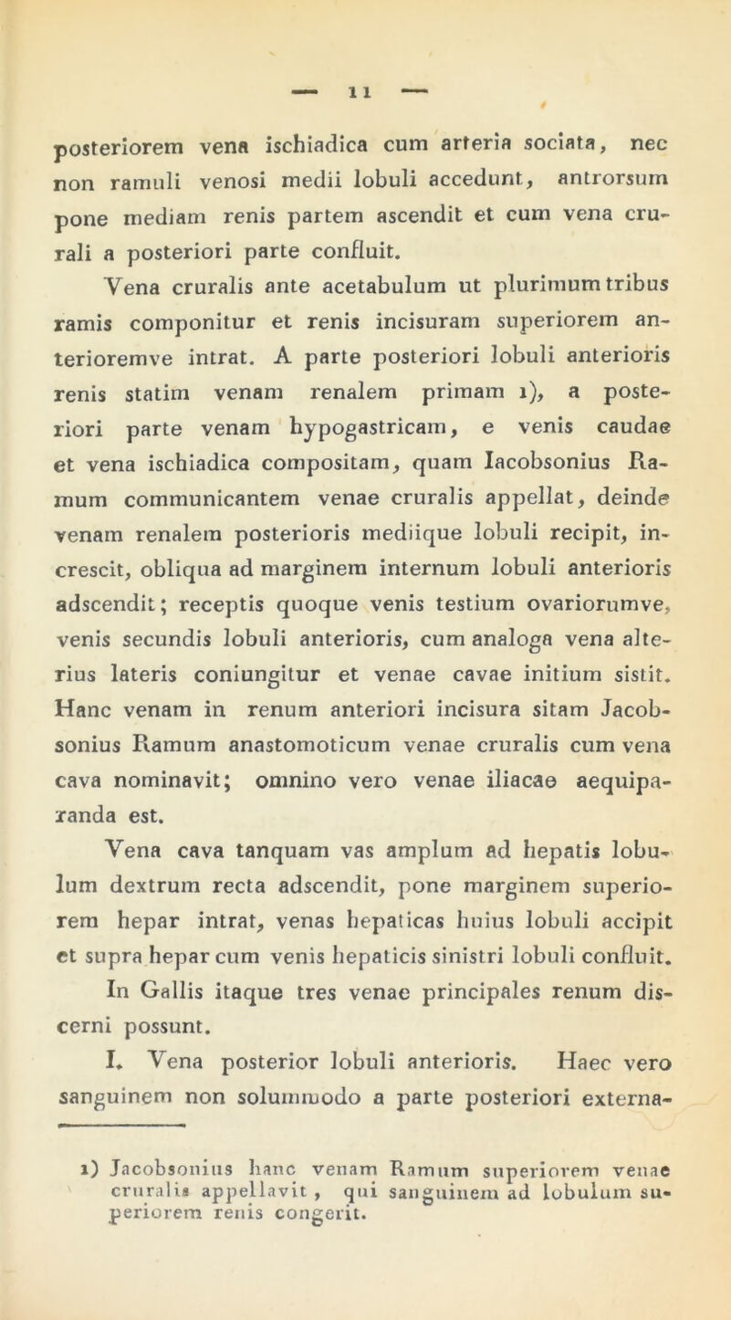 posteriorem vena ischiadica cum arteria sociata, nec non ramuli venosi medii lobuli accedunt, antrorsum pone mediam renis partem ascendit et cum vena cru- rali a posteriori parte confluit. Vena cruralis ante acetabulum ut plurimum tribus ramis componitur et renis incisuram superiorem an- terioremve intrat. A parte posteriori lobuli anterioris renis statim venam renalem primam i), a poste- riori parte venam hypogastricam, e venis caudae et vena ischiadica compositam, quam lacobsonius Ra- mum communicantem venae cruralis appellat, deinde venam renalem posterioris mediique lobuli recipit, in- crescit, obliqua ad marginem internum lobuli anterioris adscendit; receptis quoque venis testium ovariorumve, venis secundis lobuli anterioris, cum analoga vena alte- rius lateris coniungitur et venae cavae initium sistit. Hanc venam in renum anteriori incisura sitam Jacob- sonius Ramum anastomoticum venae cruralis cum vena cava nominavit; omnino vero venae iliacae aequipa- randa est. Vena cava tanquam vas amplum ad hepatis lobu- lum dextrum recta adscendit, pone marginem superio- rem hepar intrat, venas hepaticas huius lobuli accipit ct supra hepar cum venis hepaticis sinistri lobuli confluit. In Gallis itaque tres venae principales renum dis- cerni possunt. I. Vena posterior lobuli anterioris. Haec vero sanguinem non solummodo a parte posteriori externa- i) Jacobsoniiis hanc venam Ramum superiorem venae crurali* appellavit, qui sanguinem ad lobulum su- periorem renis congerit.