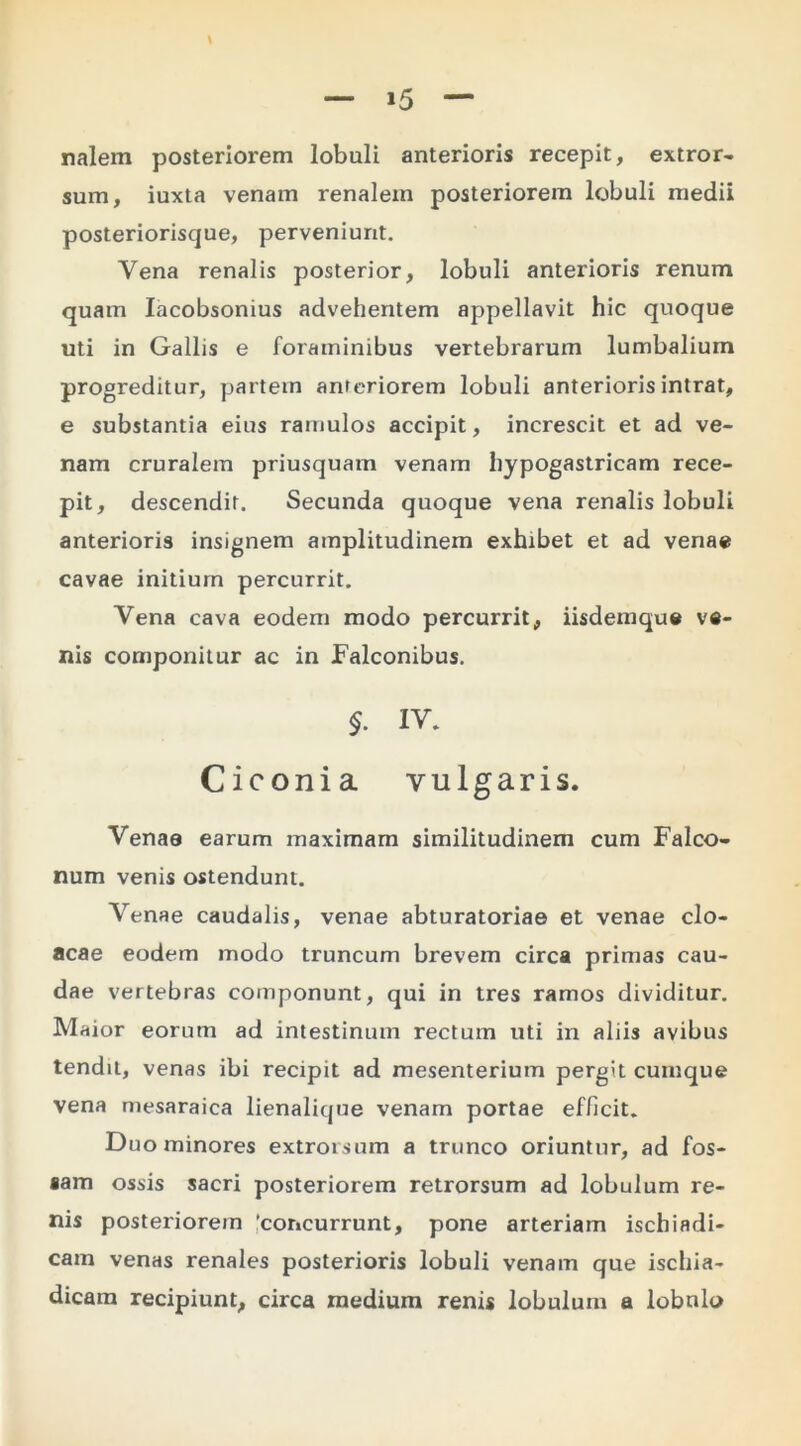 nalem posteriorem lobuli anterioris recepit, extror- sum, iuxta venam renalem posteriorem lobuli medii posteriorisque, perveniunt. Vena renalis posterior, lobuli anterioris renum quam lacobsonius advehentem appellavit hic quoque uti in Gallis e foraminibus vertebrarum lumbalium progreditur, partem anreriorem lobuli anterioris intrat, e substantia eius ramulos accipit, increscit et ad ve- nam cruralem priusquam venam hypogastricam rece- pit, descendit. Secunda quoque vena renalis lobuli anterioris insignem amplitudinem exhibet et ad venae cavae initium percurrit. Vena cava eodem modo percurrit, iisdemque ve- nis componitur ac in Falconibus, §. IV* Ciconia vulgaris. Venae earum maximam similitudinem cum Falco- num venis ostendunt. Venae caudalis, venae abturatoriae et venae clo- acae eodem modo truncum brevem circa primas cau- dae vertebras componunt, qui in tres ramos dividitur. Maior eorum ad intestinum rectum uti in aliis avibus tendit, venas ibi recipit ad mesenterium pergit cumque vena mesaraica lienalique venam portae efficit. Duo minores extrorsum a trunco oriuntur, ad fos- sam ossis sacri posteriorem retrorsum ad lobulum re- nis posteriorem 'concurrunt, pone arteriam ischiadi- cam venas renales posterioris lobuli venam que ischia- dicam recipiunt, circa medium renis lobulum a lobulo