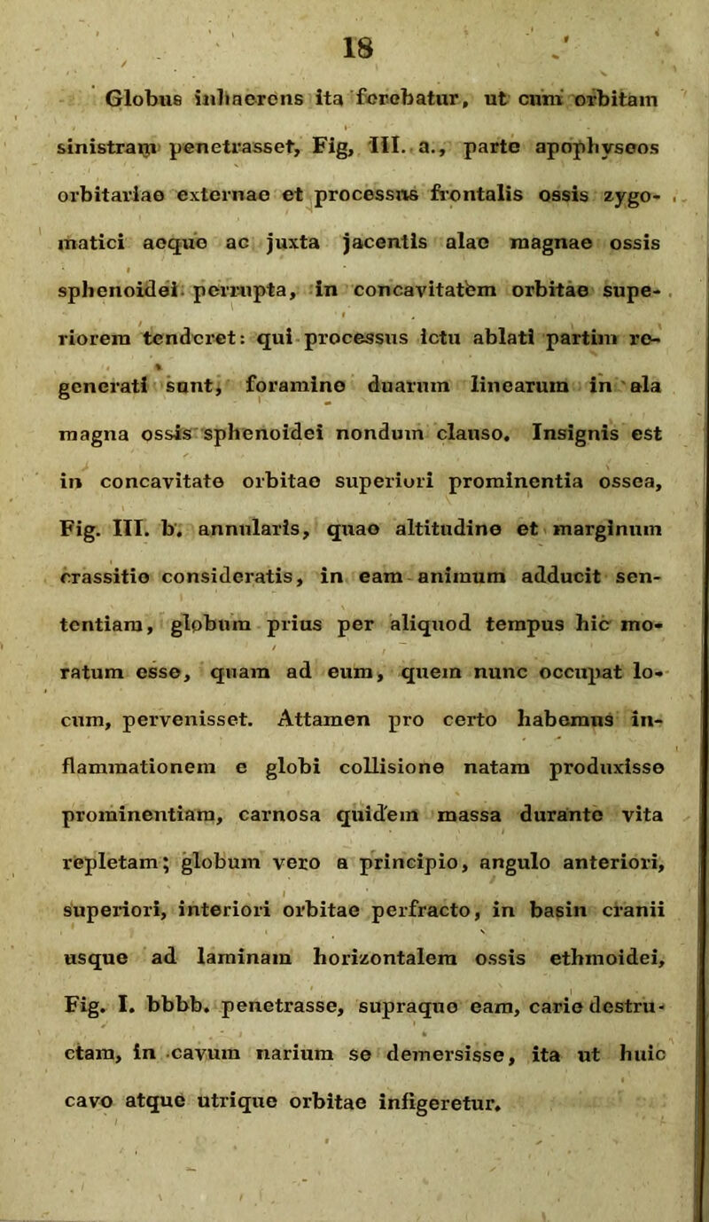 Globus inhaerens ita ferebatur, ut cum orbitam sinistraiyi penetrasset, Fig, 'III. a., parte apophvseos orbitariae externae et processus frontalis ossis zygo- , mutici aequo ac juxta jacentis alae magnae ossis sphenoidei perrupta, in concavitatfem orbitae supe- riorem tenderet: qui processus ictu ablati partim re- 4 % generati sunt, foramine duarum linearum in ala magna ossis sphenoidei nondum clauso. Insignis est in concavitate orbitae superiori prominentia ossea, Fig. III. b. annularis, quao altitudine et marginum orassitio consideratis, in eam animum adducit sen- tentiam, glpbum prius per aliquod tempus hic mo- ratum esse, quam ad eum, quem nunc occupat lo- cum, pervenisset. Attamen pro certo habemus in- flammationem e globi collisione natam produxisse prominentiam, carnosa quidem massa durante vita repletam; globum vero a principio, angulo anteriori, ' 1 ■ * superiori, interiori orbitae perfracto, in basin cranii usque ad laminam horizontalem ossis ethmoidei, Fig. I. bbbb. penetrasse, supraquo eam, carie destru- ctam, in cavum narium se demersisse, ita ut huic cavo atque utrique orbitae infigeretur.