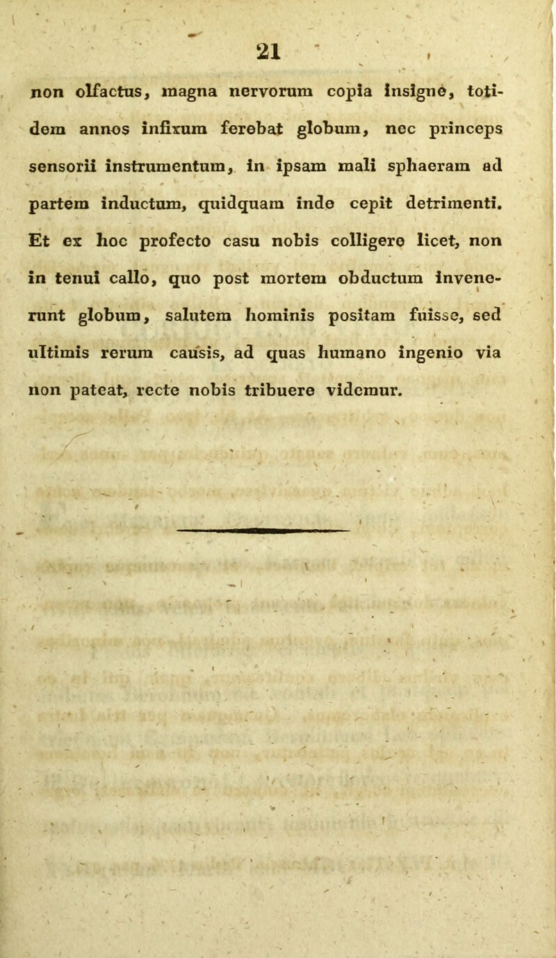 non olfactus, magna nervorum copia insigne, toti- dem annos infixum ferebat globum, nec princeps sensorii instrumentum, in ipsam mali sphaeram ad partem inductum, quidquam inde cepit detrimenti. Et ex hoc profecto casu nobis colligere licet, non in tenui callo, quo post mortem obductum invene- runt globum, salutem hominis positam fuisse, sed ultimis rerum causis, ad quas humano ingenio via non pateat, recte nobis tribuere videmur.