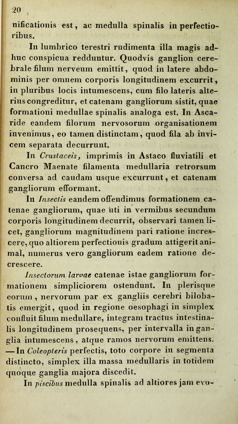 io nificationis est, ac medulla spinalis in perfectio- ribus. In lumbrico terestri rudimenta illa magis ad- huc conspicua redduntur. Quodvis ganglion cere- brale filum nerveum emittit, quod in latere abdo- minis per omnem corporis longitudinem excurrit, in pluribus locis intumescens, cum filo lateris alte- rius congreditur, et catenam gangliorum sistit, quae formationi medullae spinalis analoga est. In Asca- ride eandem filorum nervosorum organisationem invenimus, eo tamen distinctam, quod fila ab invi- cem separata decurrunt. In Cruslaceis, imprimis in Astaco fluviatili et Cancro Maenate filamenta medullaria retrorsum conversa ad caudam usque excurrunt, et catenam gangliorum efformant. In Insectis eandem offendimus formationem ca- tenae gangliorum, quae uti in vermibus secundum corporis longitudinem decurrit, observari tamen li- cet, gangliorum magnitudinem pari ratione incres- cere, quo altiorem perfectionis gradum attigerit ani- mal, numerus vero gangliorum eadem ratione de- crescere. Insectorum laroae catenae istae gangliorum for- mationem simpliciorem ostendunt. In plerisque eorum, nervorum par ex gangliis cerebri biloba- tis emergit, quod in regione oesophagi in simplex confluit filum medullare, integram tractus intestina- lis longitudinem prosequens, per intervalla in gan- glia intumescens, atque ramos nervorum emittens. — In Coleopteris perfectis, toto corpore in segmenta distincto, simplex illa massa medullaris in totidem quoque ganglia majora discedit. In pfWif/s medulla spinalis ad altioresjam evo-