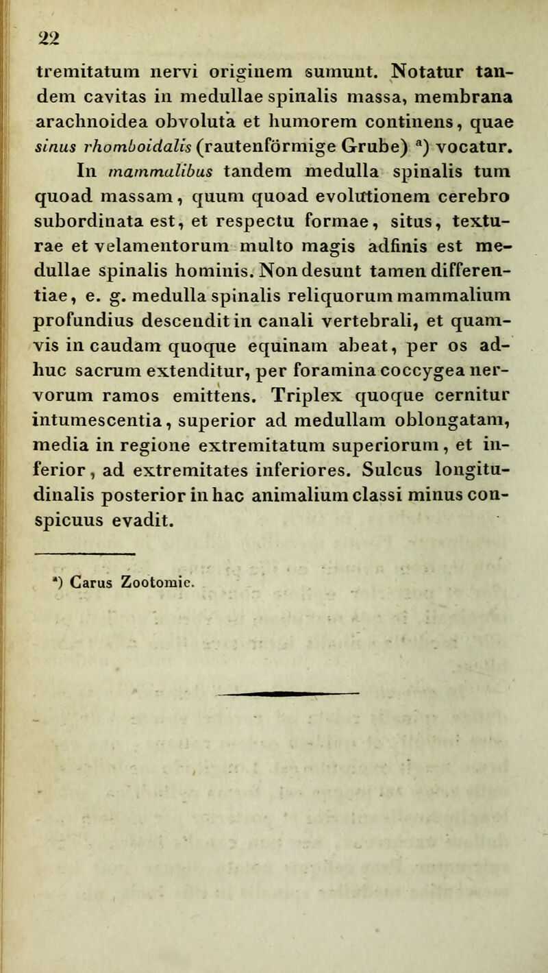 tremitatum nervi originem sumunt. Notatur tan- dem cavitas in medullae spinalis massa, membrana araclinoidea obvoluta et humorem continens, quae sinus rhomboidalis (rautenfdrmige Grube) ®) vocatur. In mammalibus tandem medulla spinalis tum quoad massam, quum quoad evolutionem cerebro subordinata est, et respectu formae, situs, textu- rae et velamentorum multo magis adfinis est me- dullae spinalis hominis. Non desunt tamen differen- tiae, e. g. medulla spinalis reliquorum mammalium profundius descendit in canali vertebrali, et quam- vis in caudam quoque equinam abeat, per os ad- huc sacrum extenditur, per foramina coccygea ner- vorum ramos emittens. Triplex quoque cernitur intumescentia, superior ad medullam oblongatam, media in regione extremitatum superiorum, et in- ferior , ad extremitates inferiores. Sulcus longitu- dinalis posterior in hac animalium classi minus con- spicuus evadit. *) Carus Zootomie.